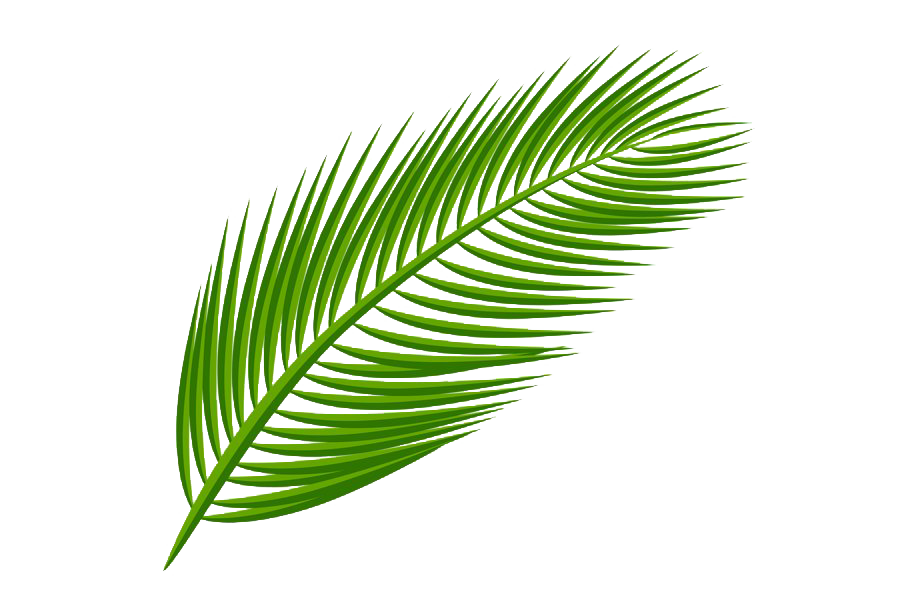 Hawaiian Luau Transparent PNG Image