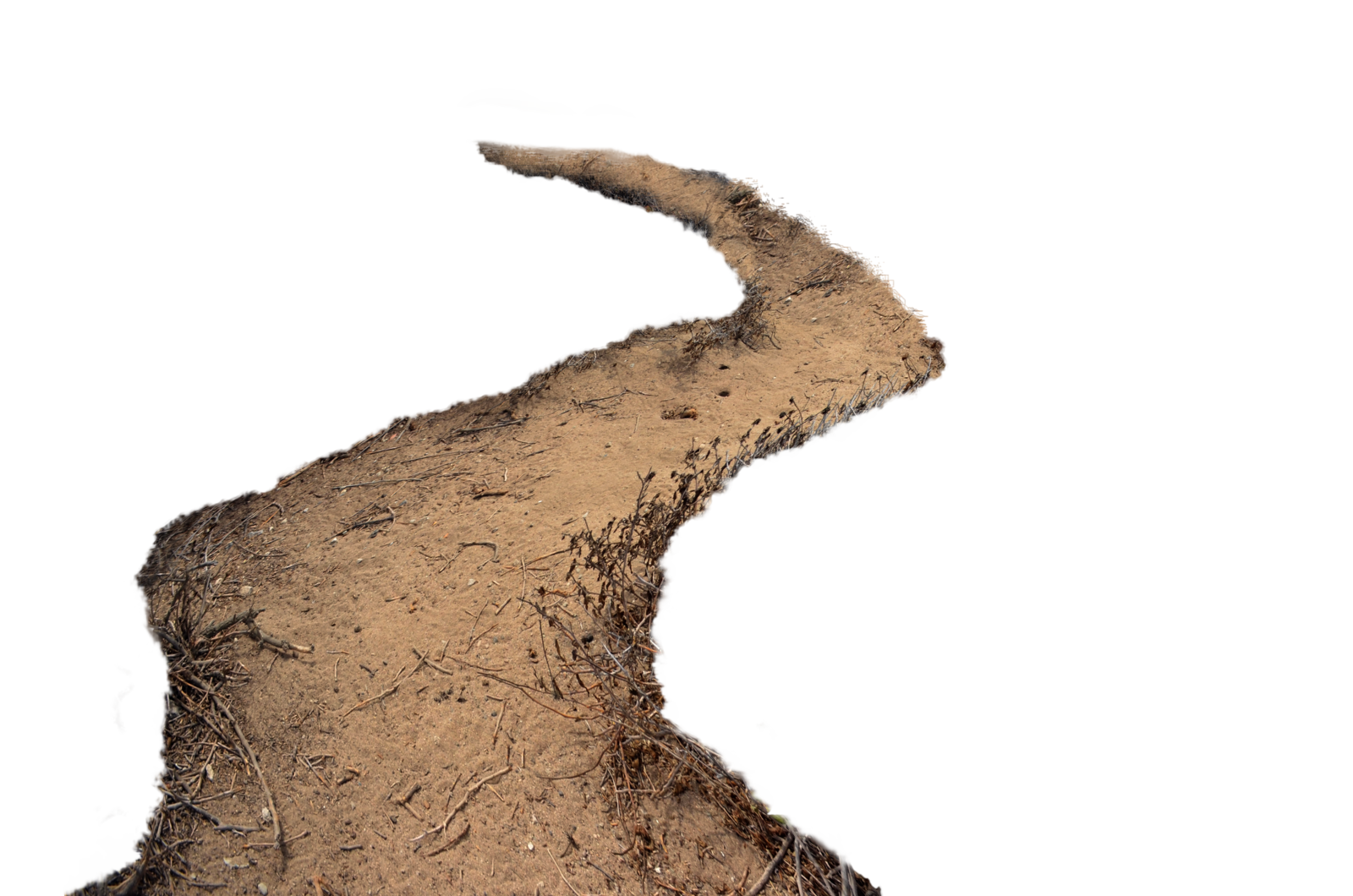 Path Transparent PNG Image