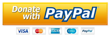 Paypal Donate Button Transparent PNG Image