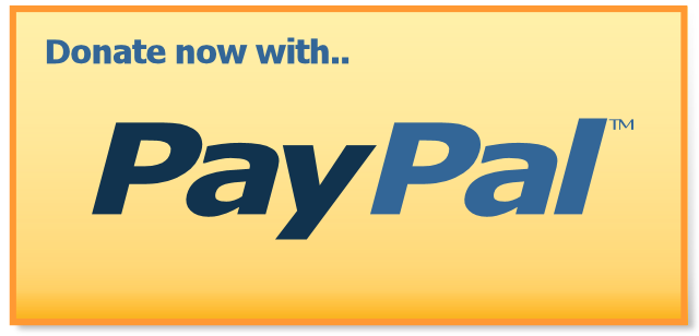 Paypal Donate Button Transparent PNG Image
