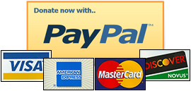 Paypal Donate Button Transparent PNG Image