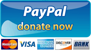 Paypal Donate Button Transparent PNG Image