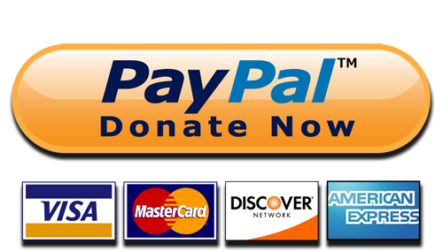 Paypal Donate Button High-Quality Transparent PNG Image
