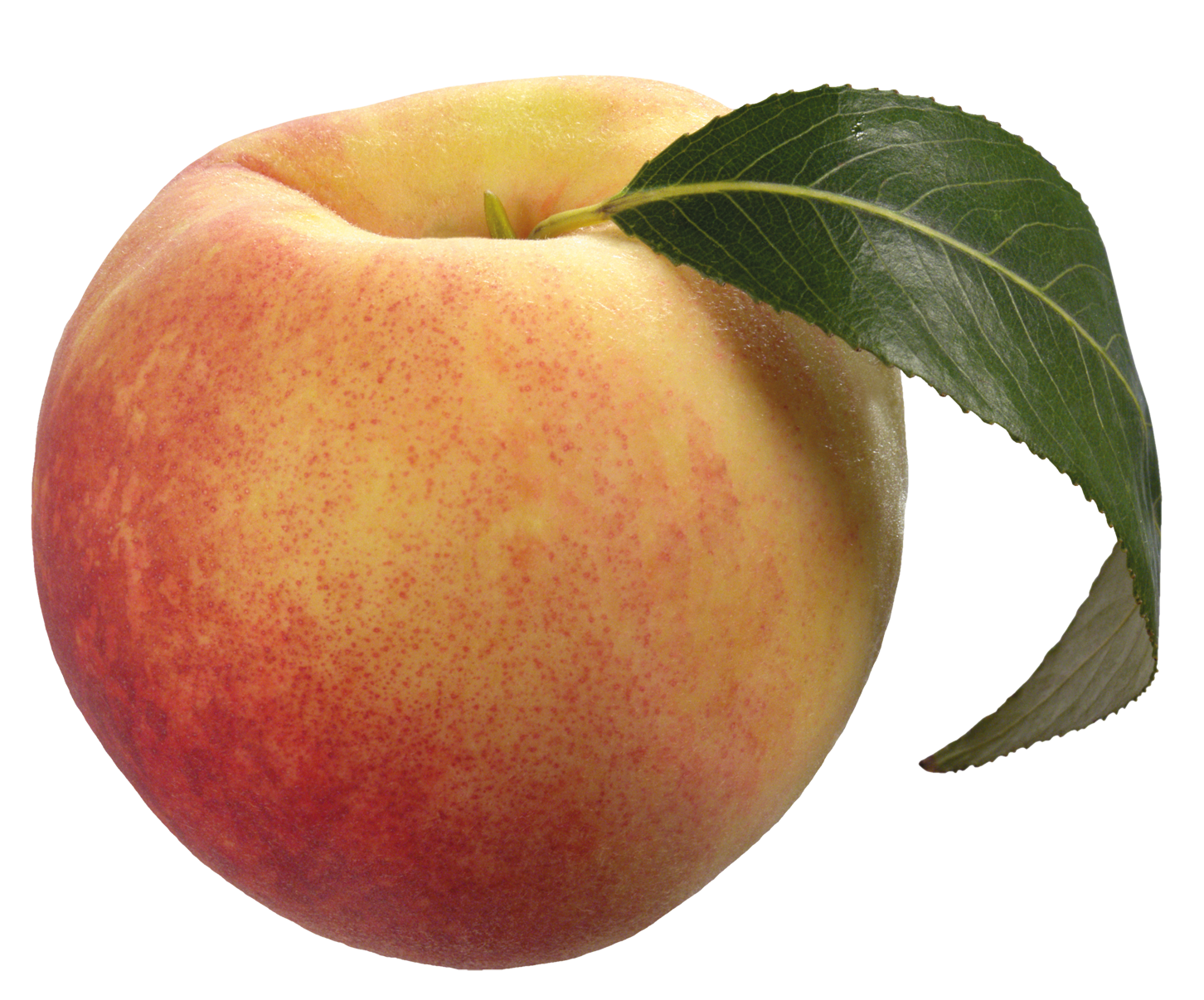 Peach Transparent PNG Image