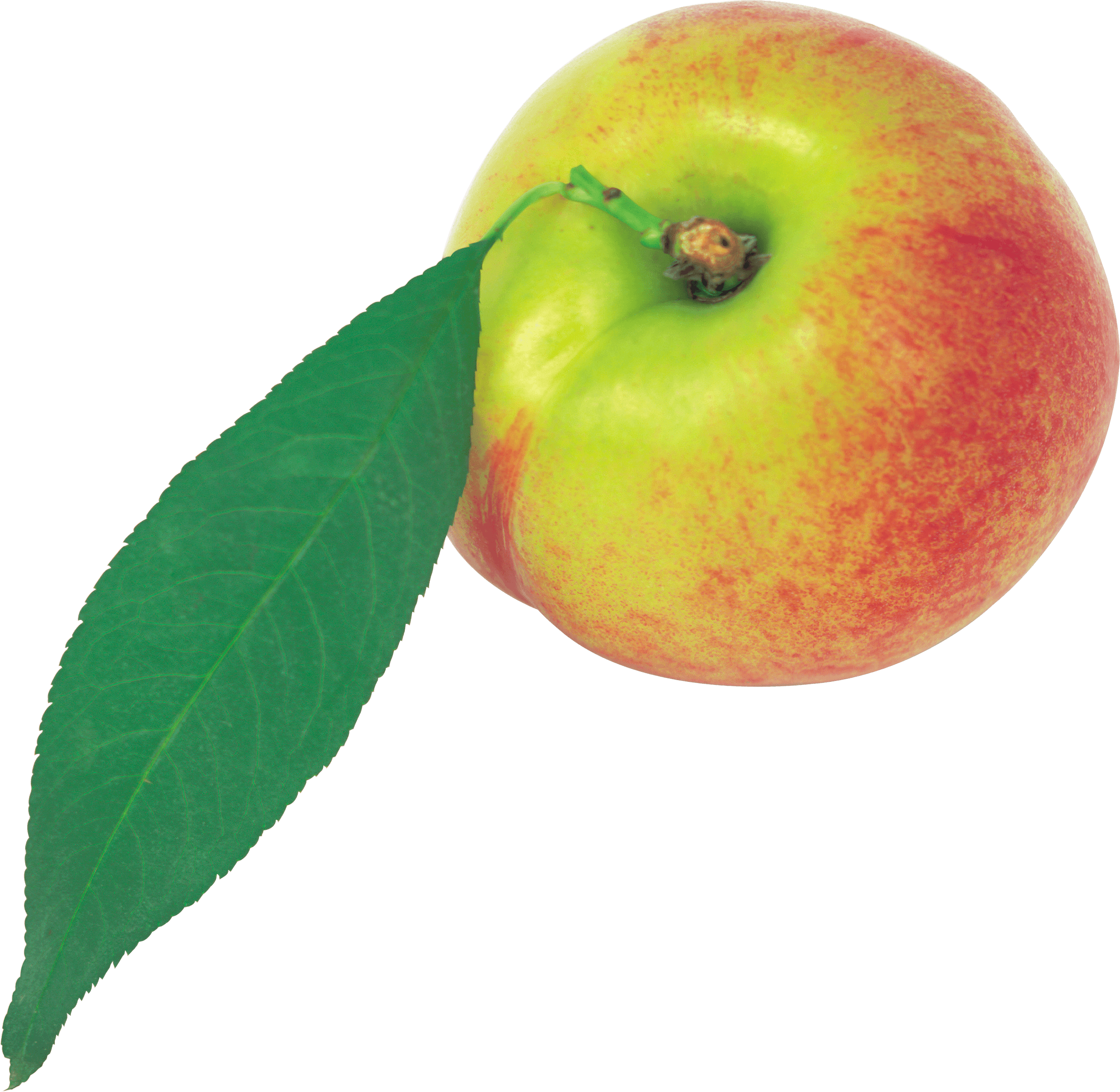 Peach Transparent PNG Image