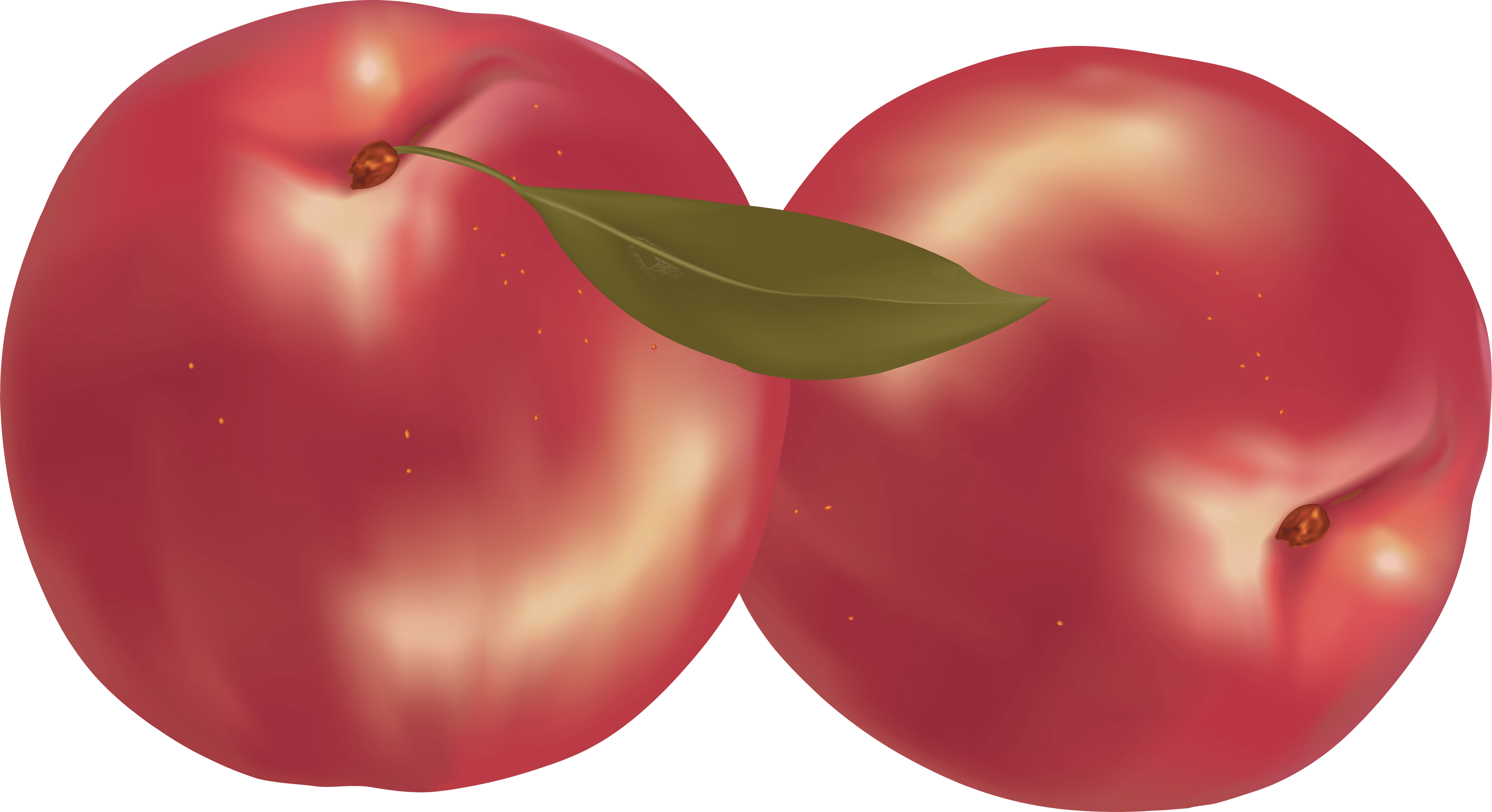 Peach Transparent PNG Image