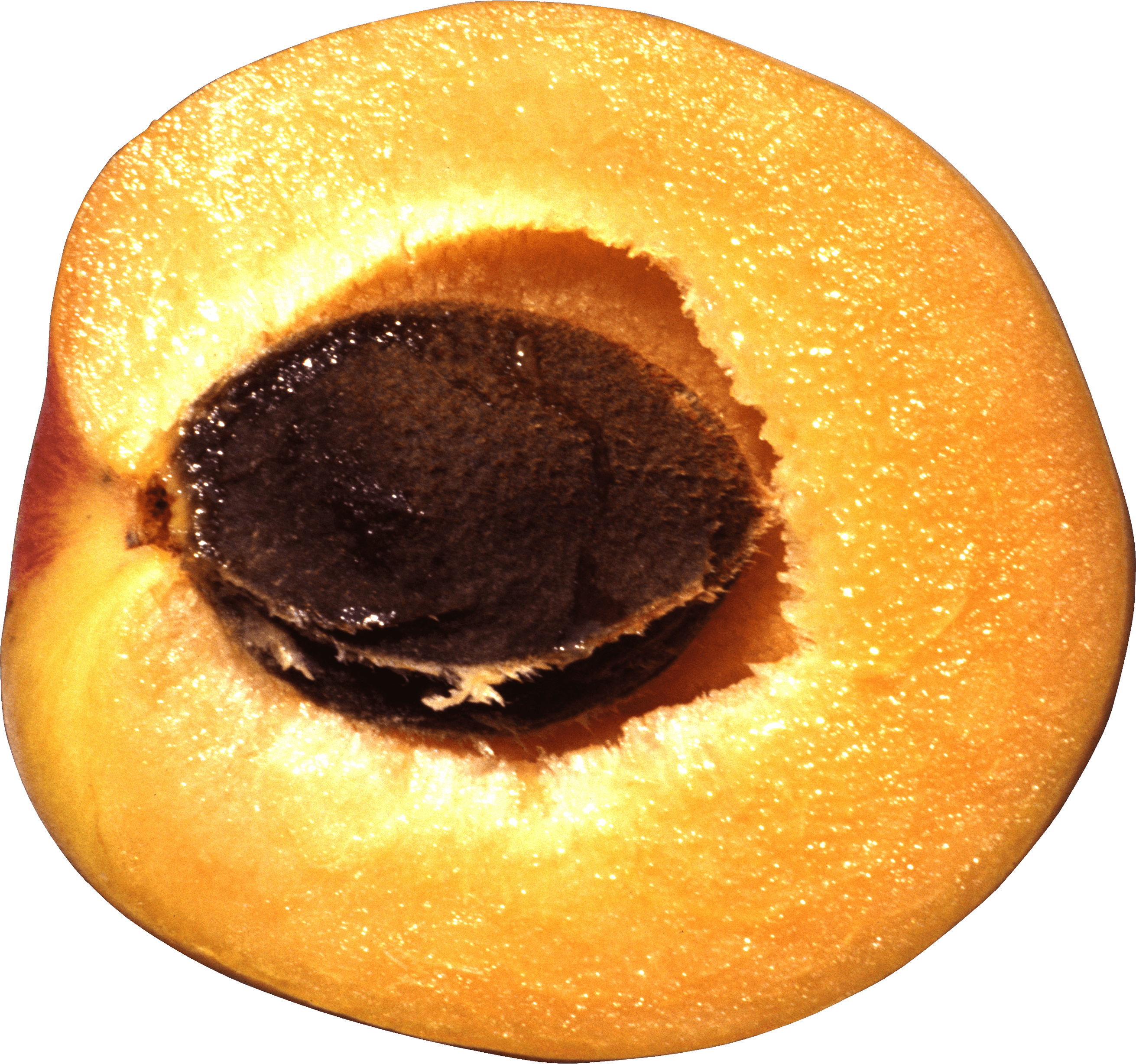Peach Transparent PNG Image