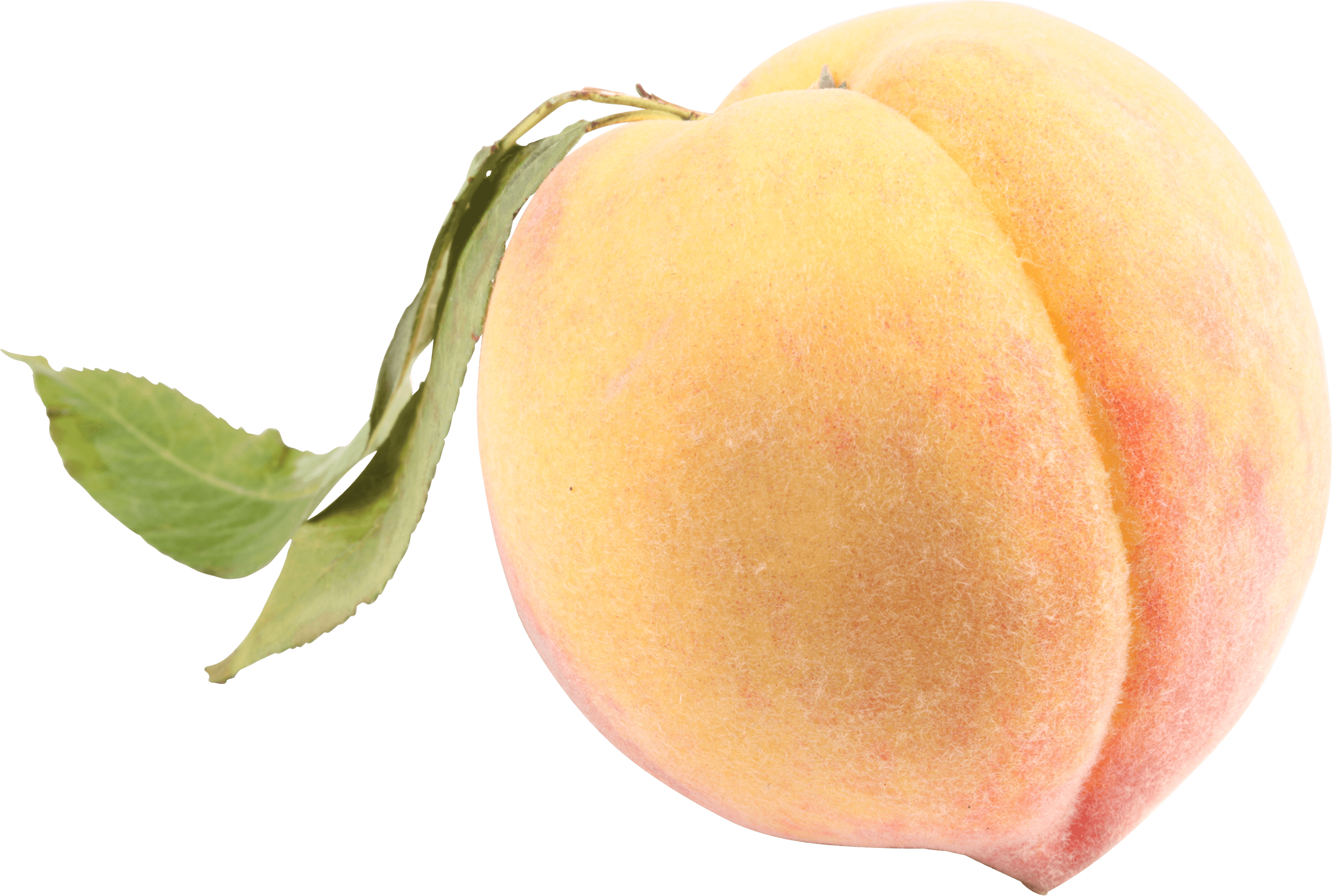 Peach Transparent PNG Image