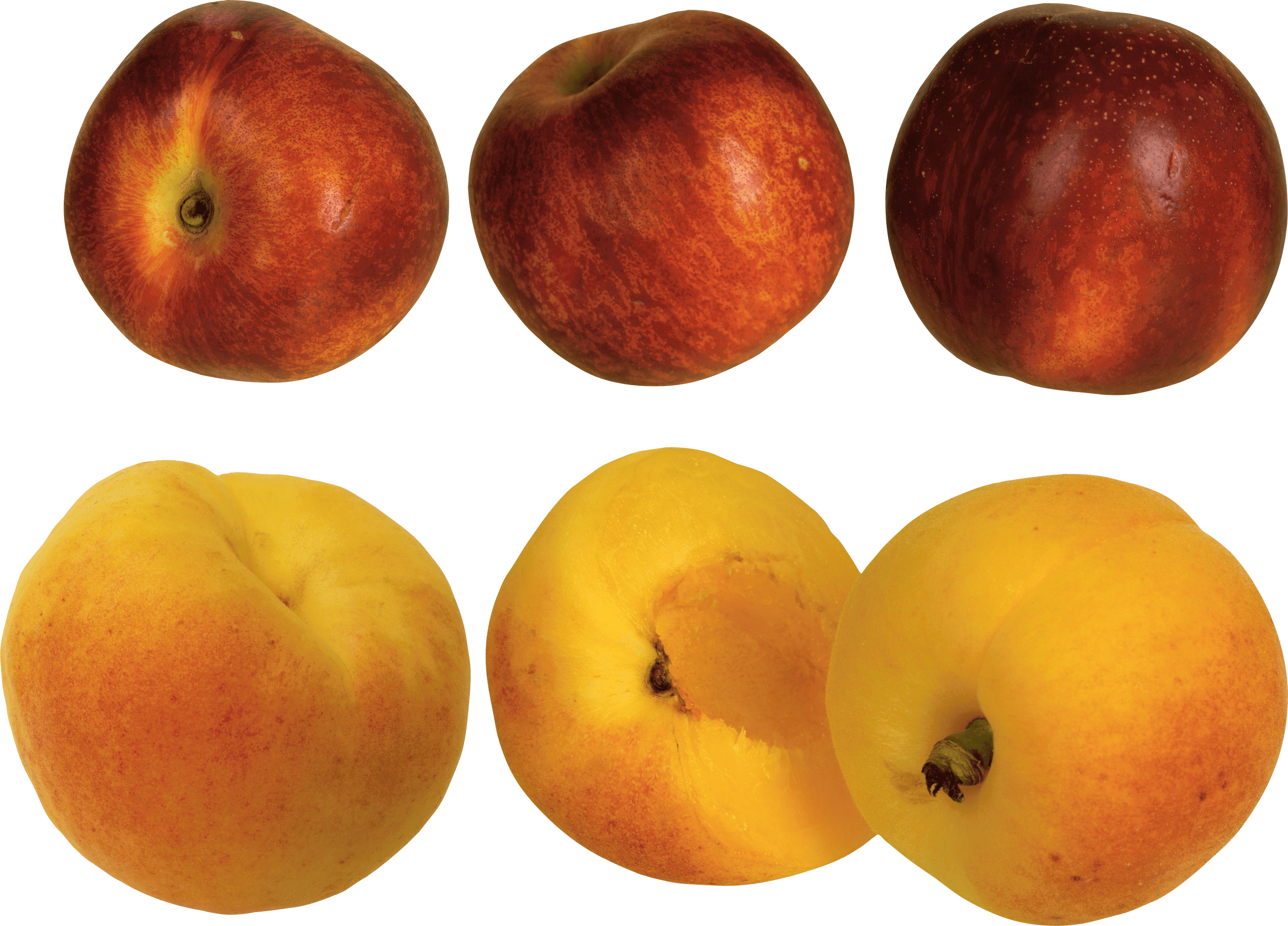 Peach Transparent PNG Image
