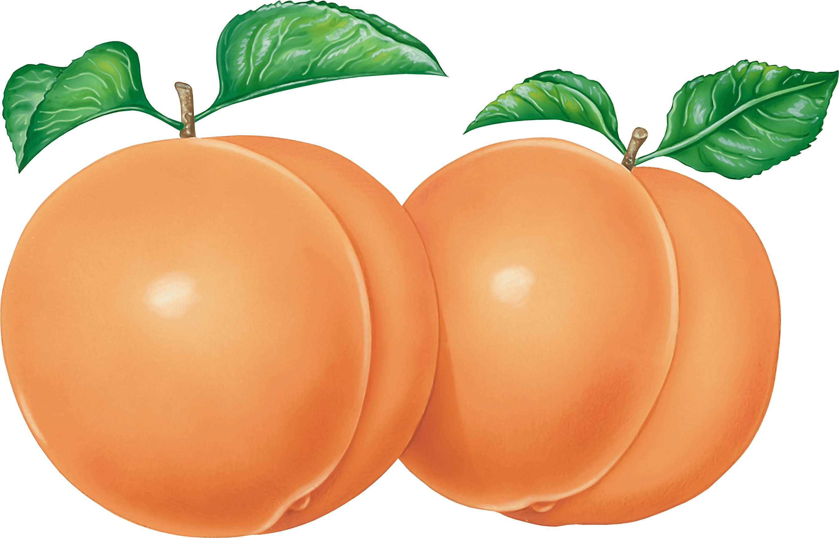 Peach Transparent PNG Image
