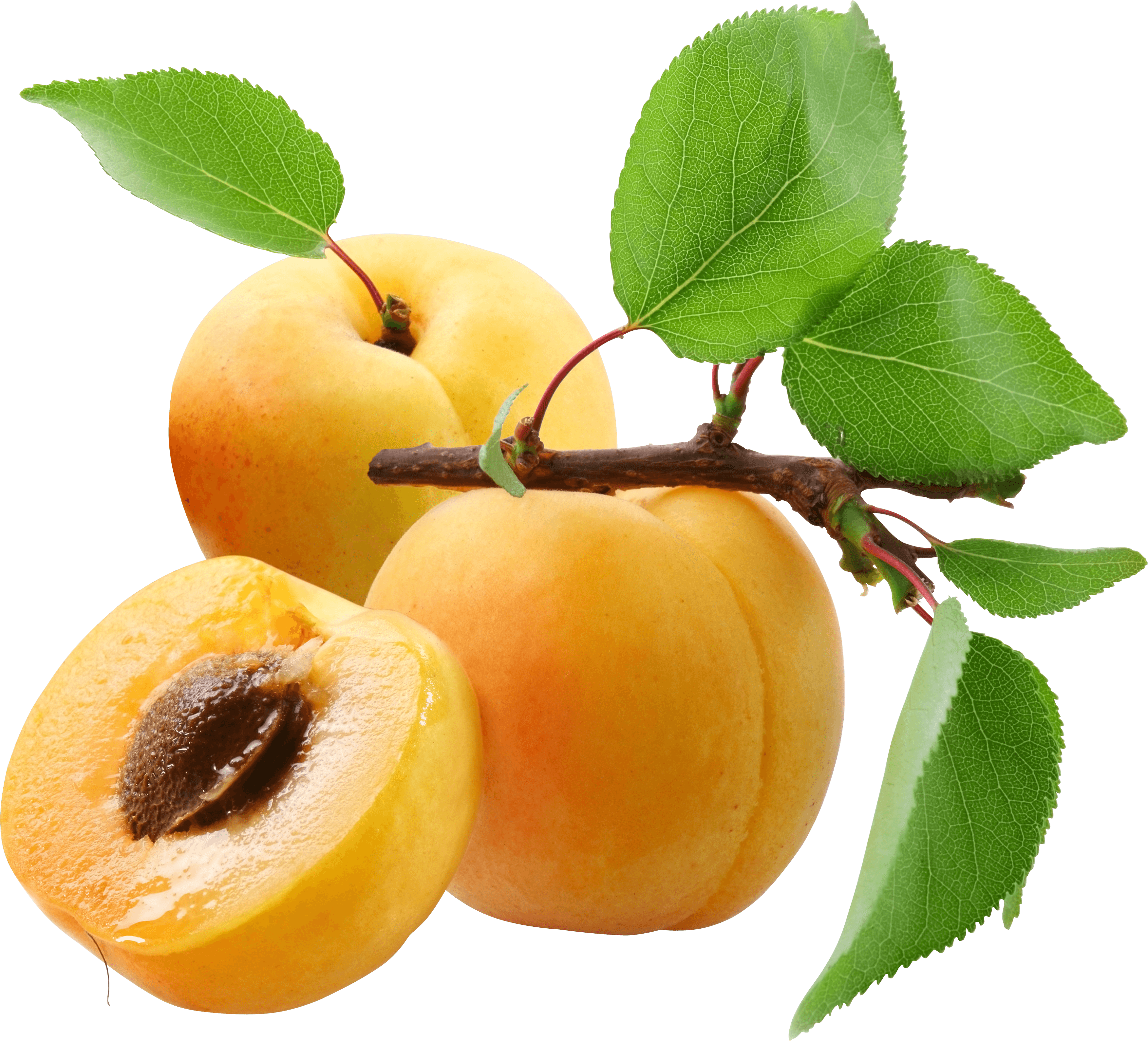 Peach Transparent PNG Image