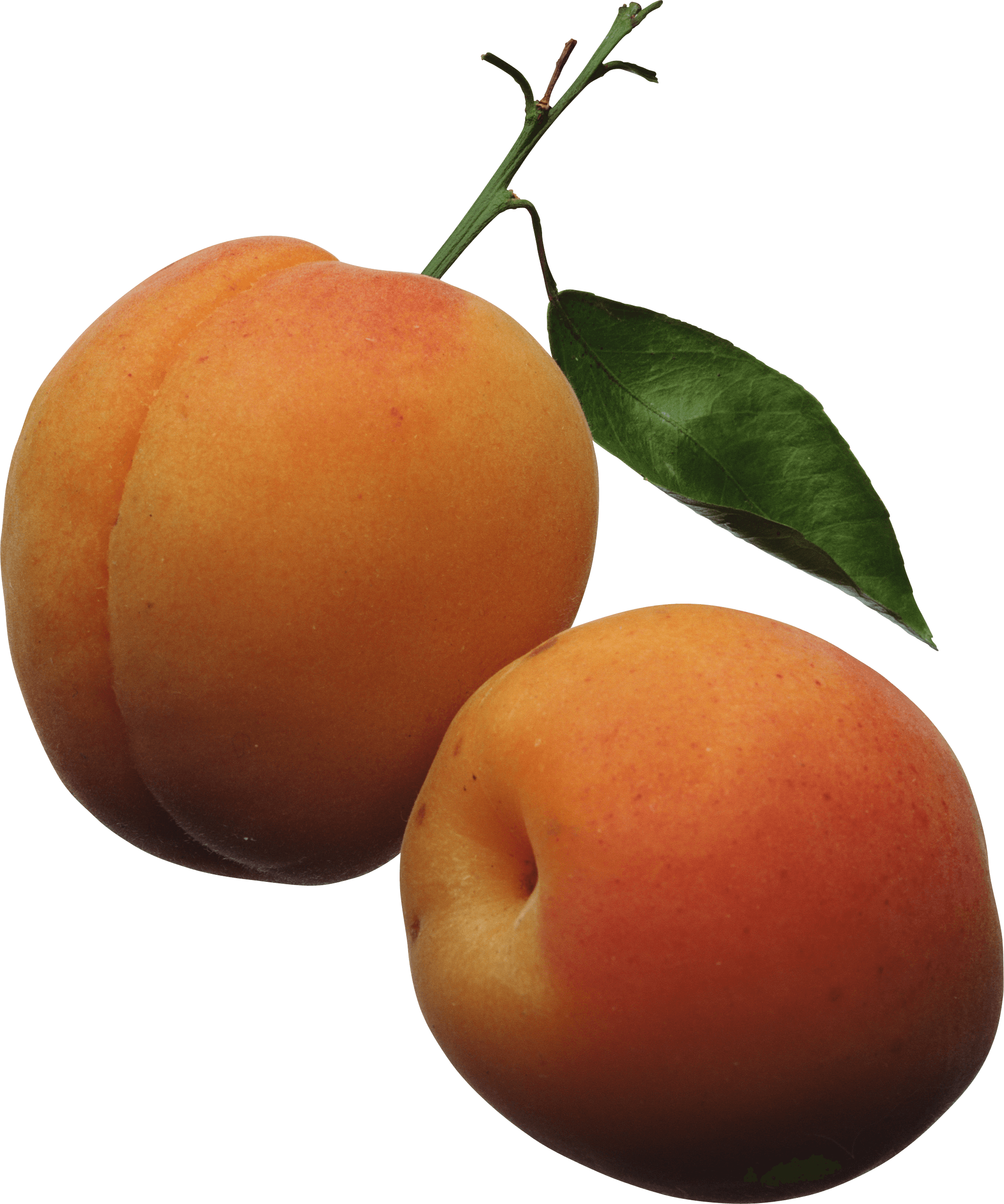 Peach Transparent PNG Image