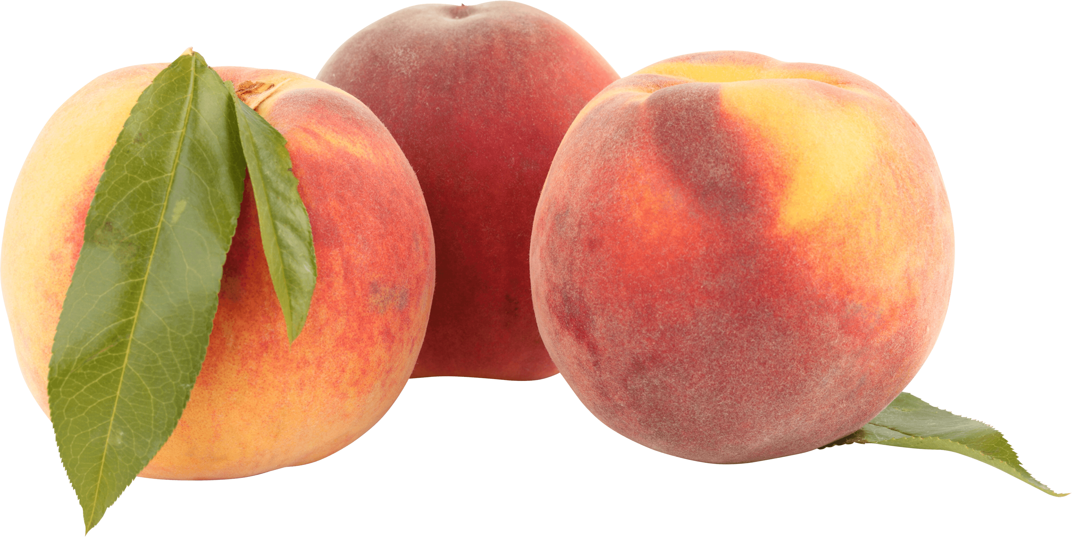 Peach Transparent PNG Image