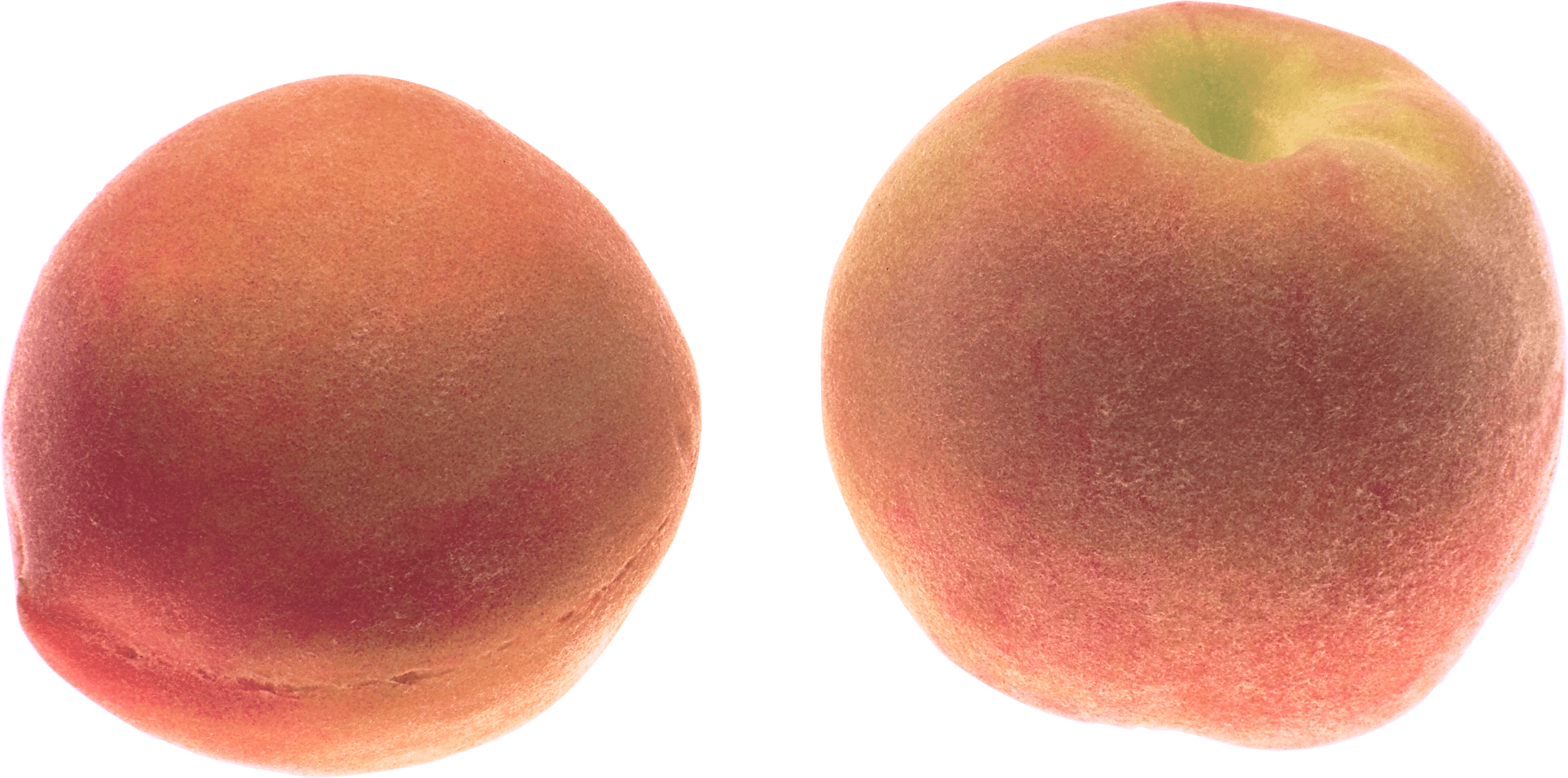 Peach Transparent PNG Image