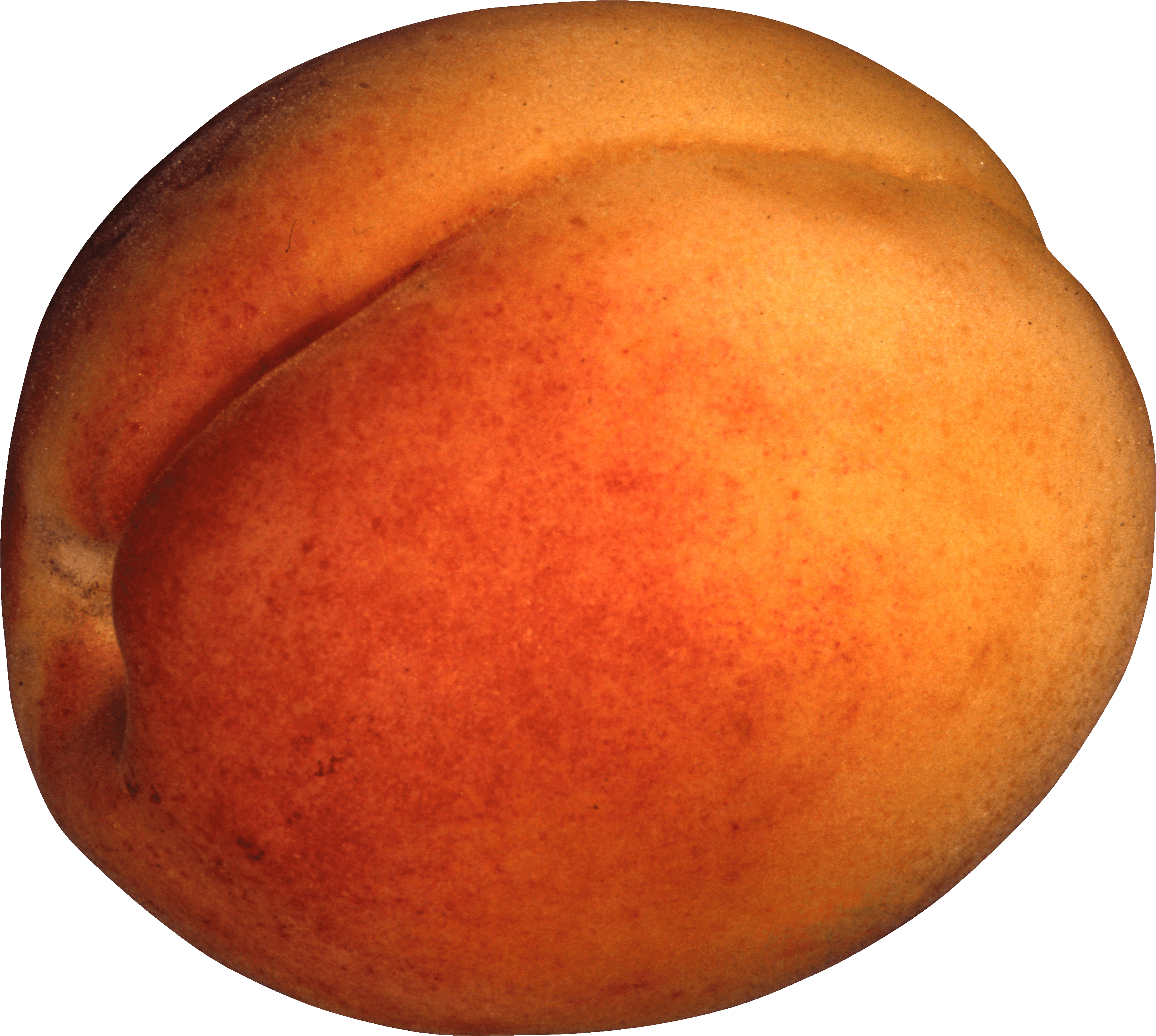 Peach Transparent PNG Image