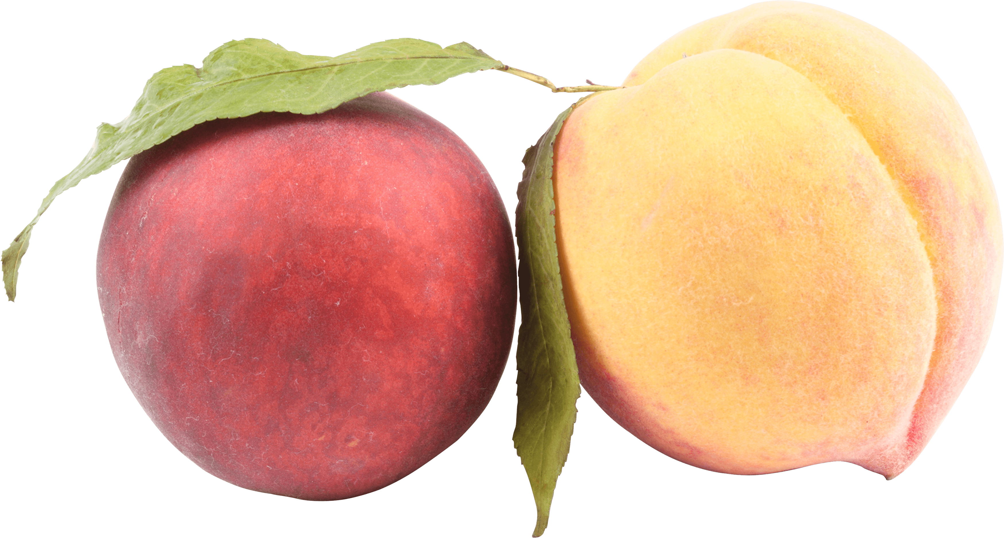 Peach Transparent PNG Image