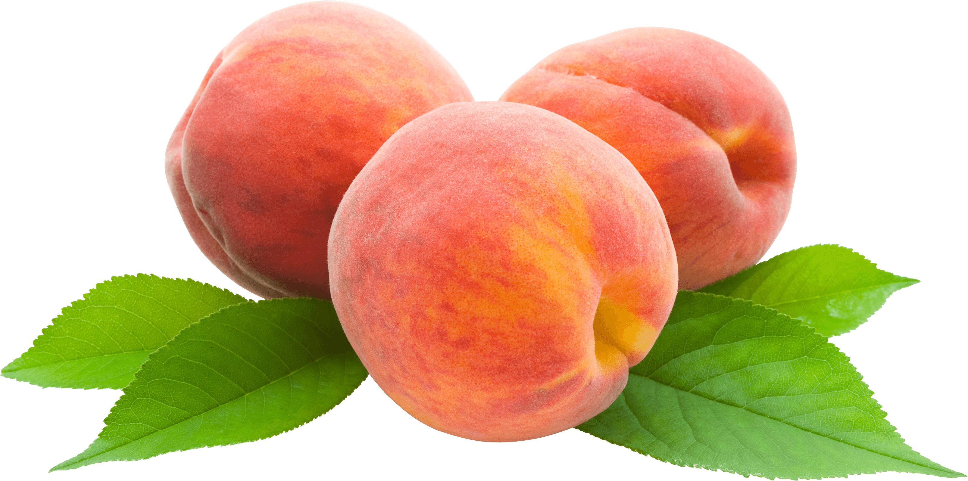 Peach Transparent PNG Image