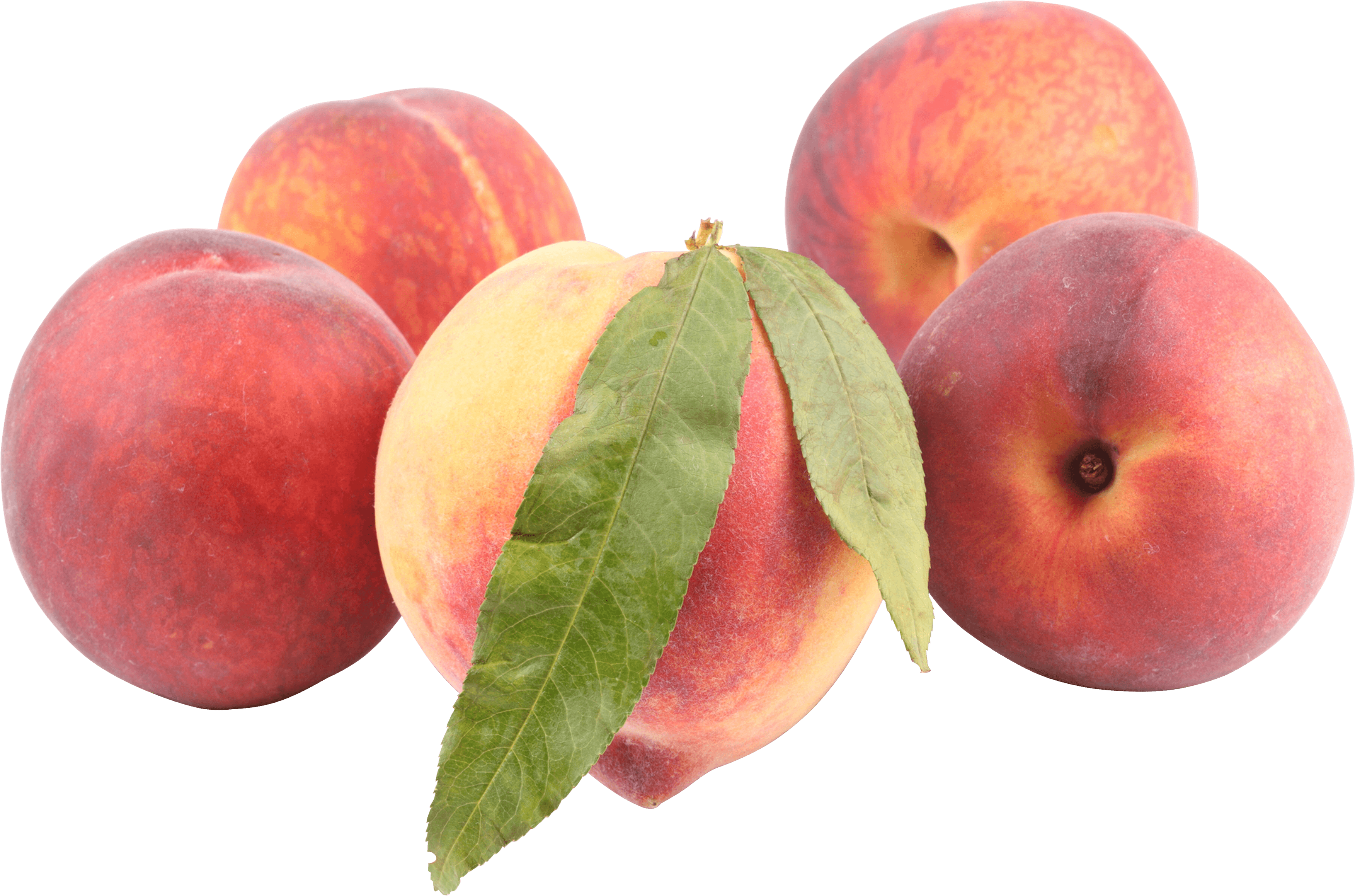 Peach Transparent PNG Image