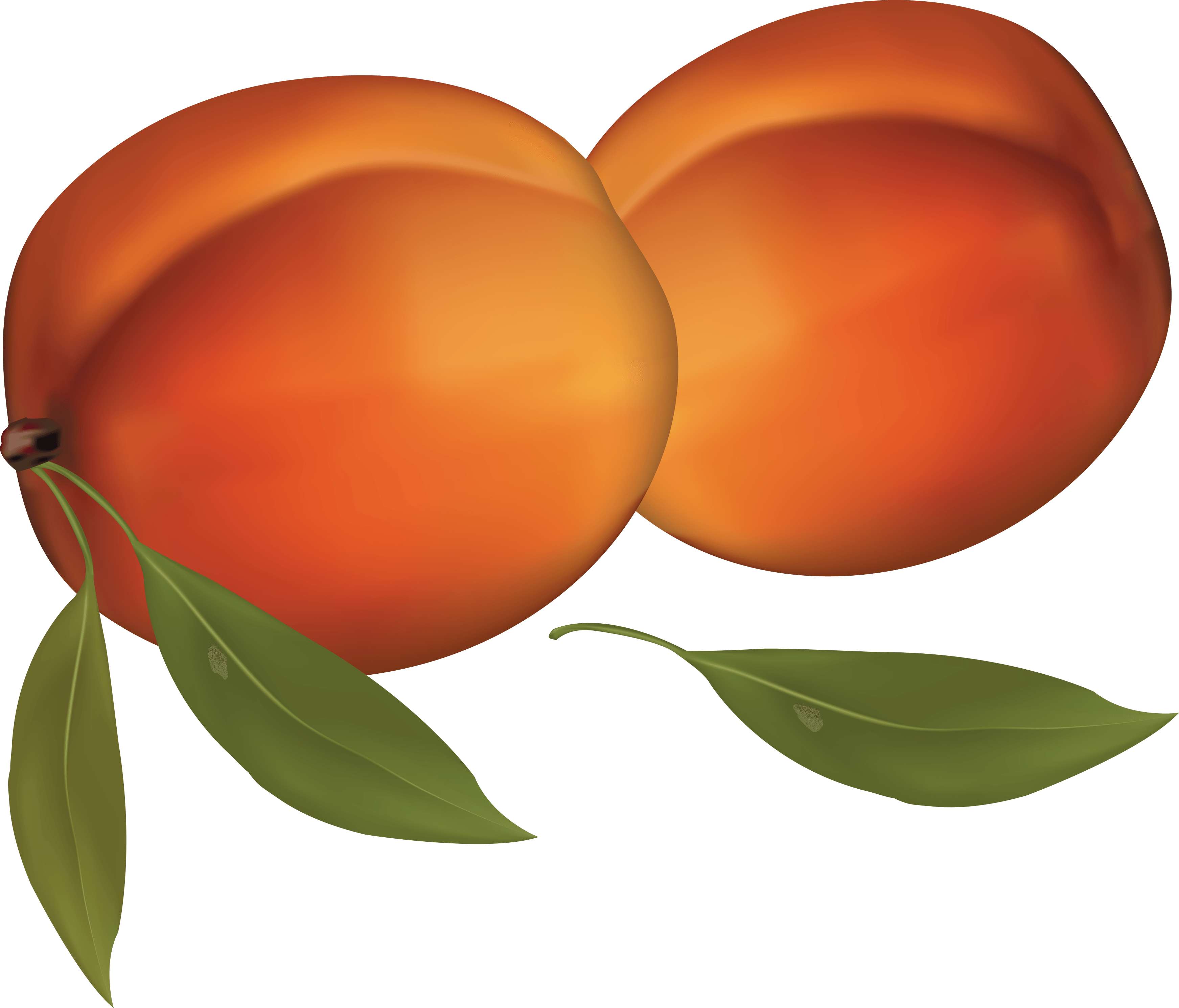 Peach Transparent PNG Image