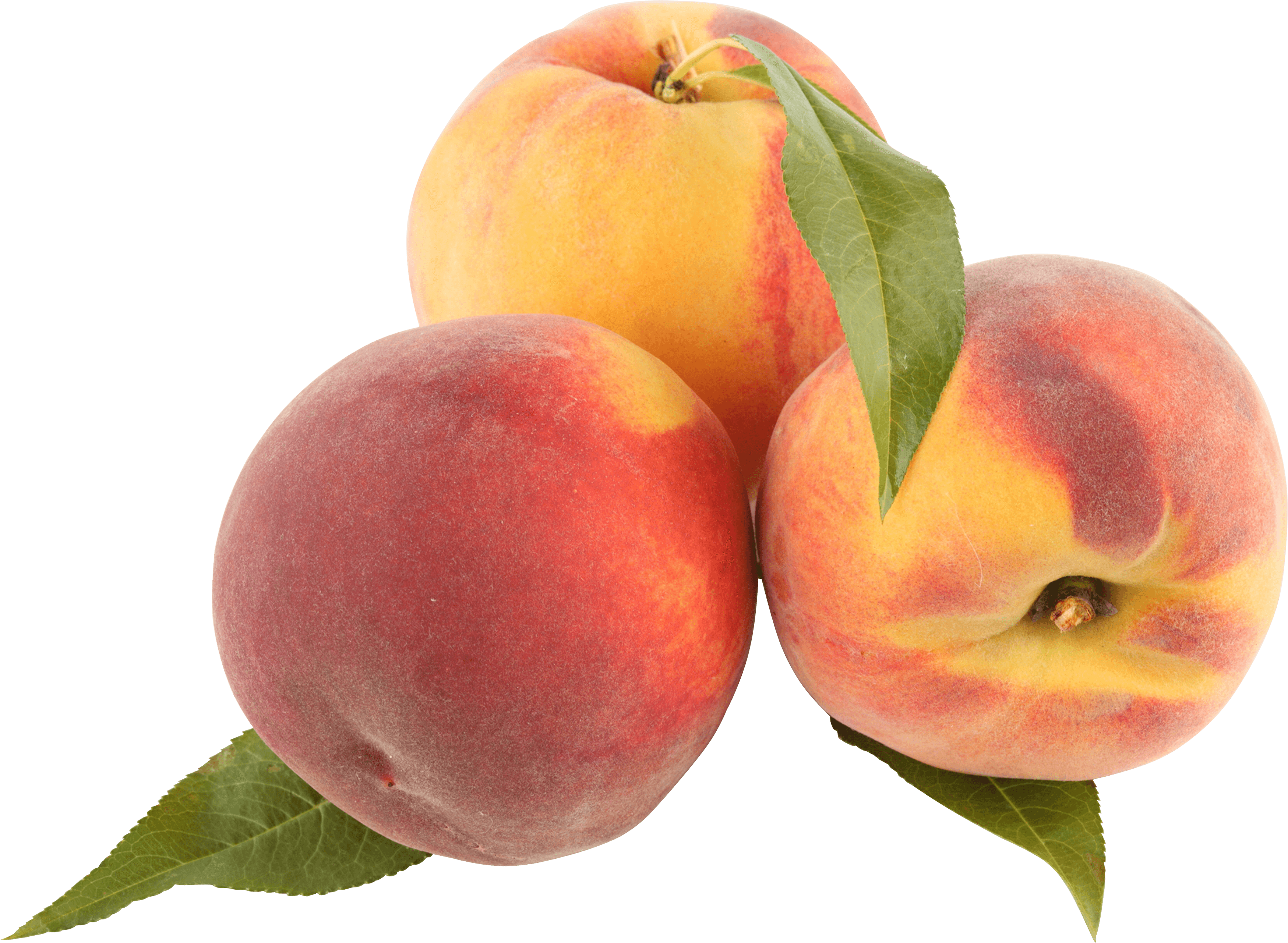 Peach Transparent PNG Image