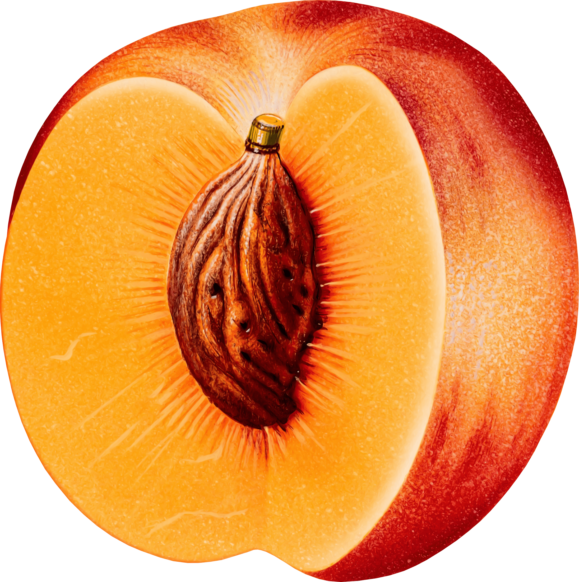Peach Transparent PNG Image