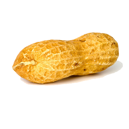 Peanut Transparent PNG Image