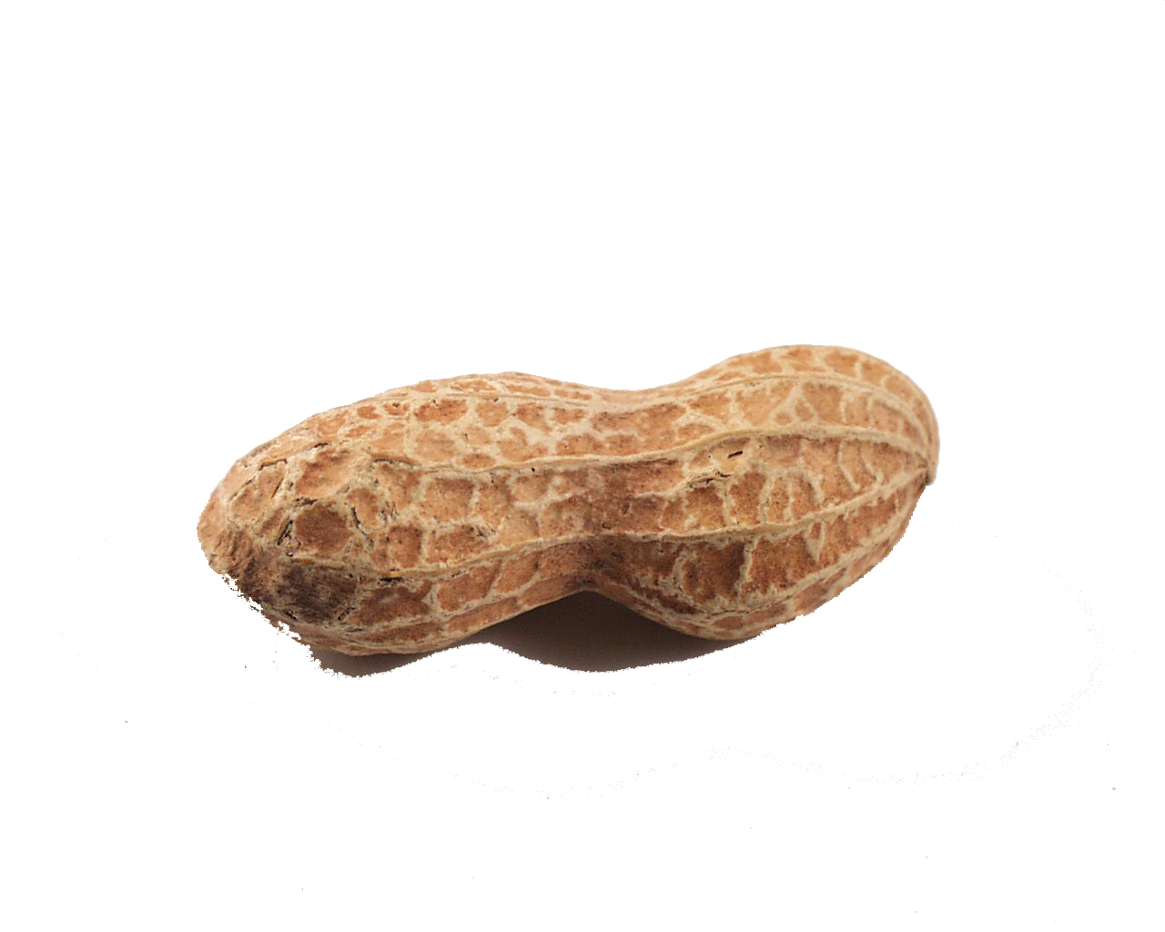 Peanut Transparent PNG Image