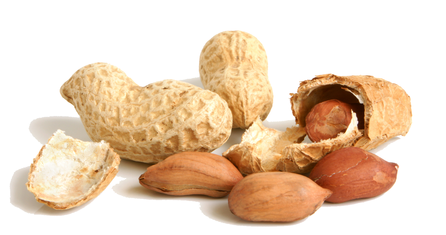 Peanut File Transparent PNG Image