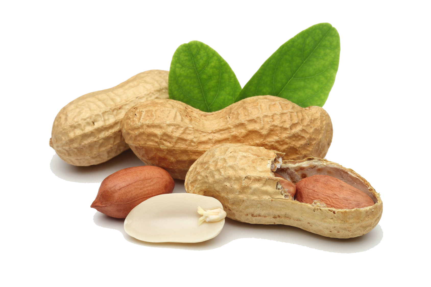 Peanut Transparent PNG Image