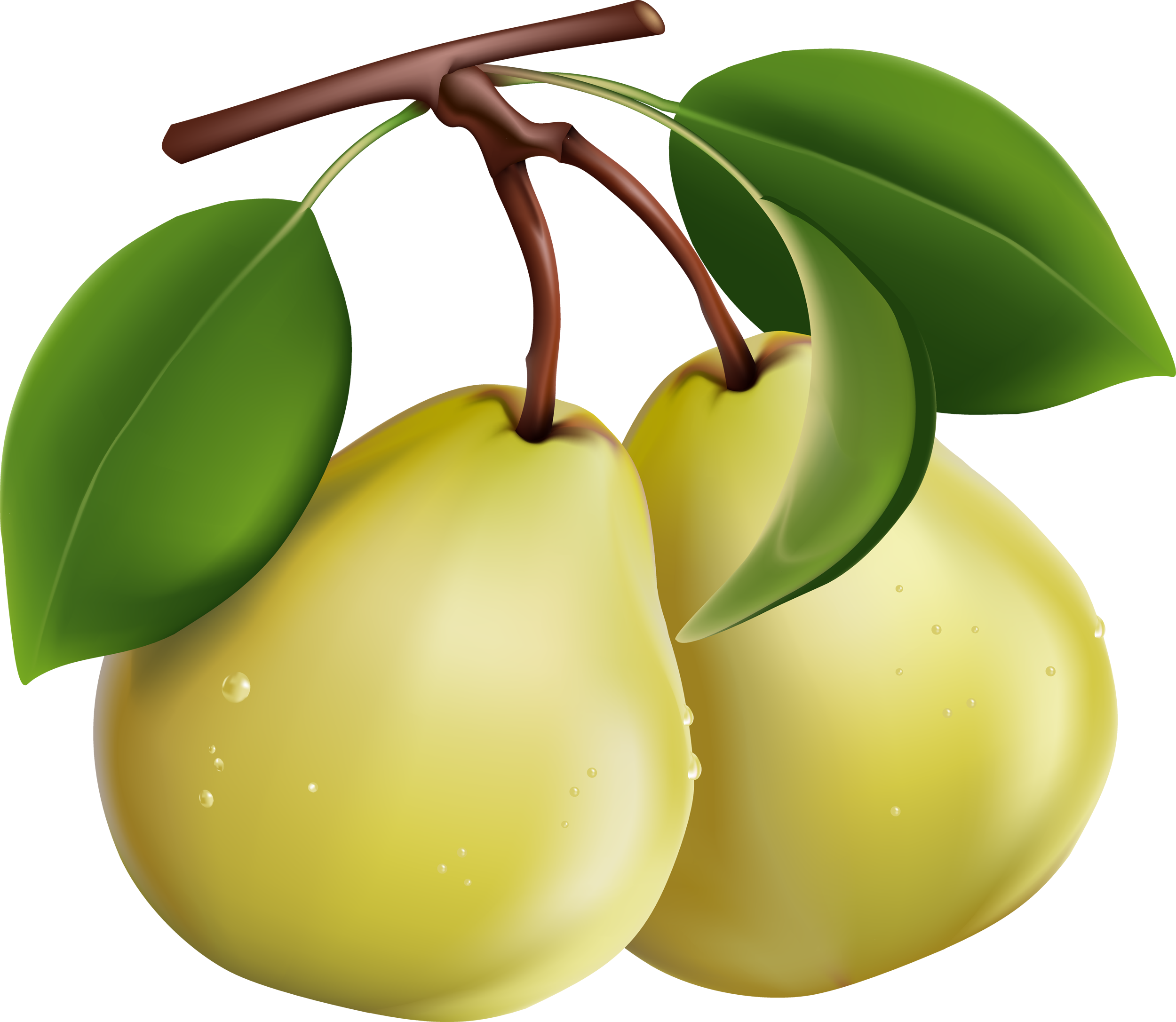 Pear Transparent PNG Image