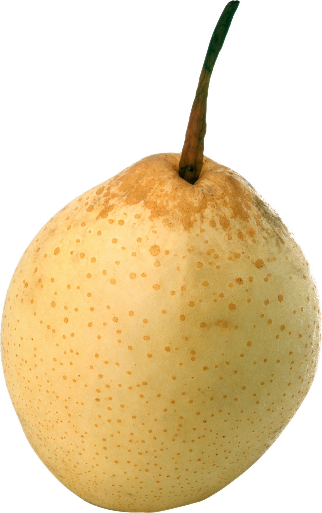 Pear Asian Transparent PNG Image