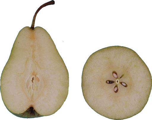 Pear Asian Transparent PNG Image