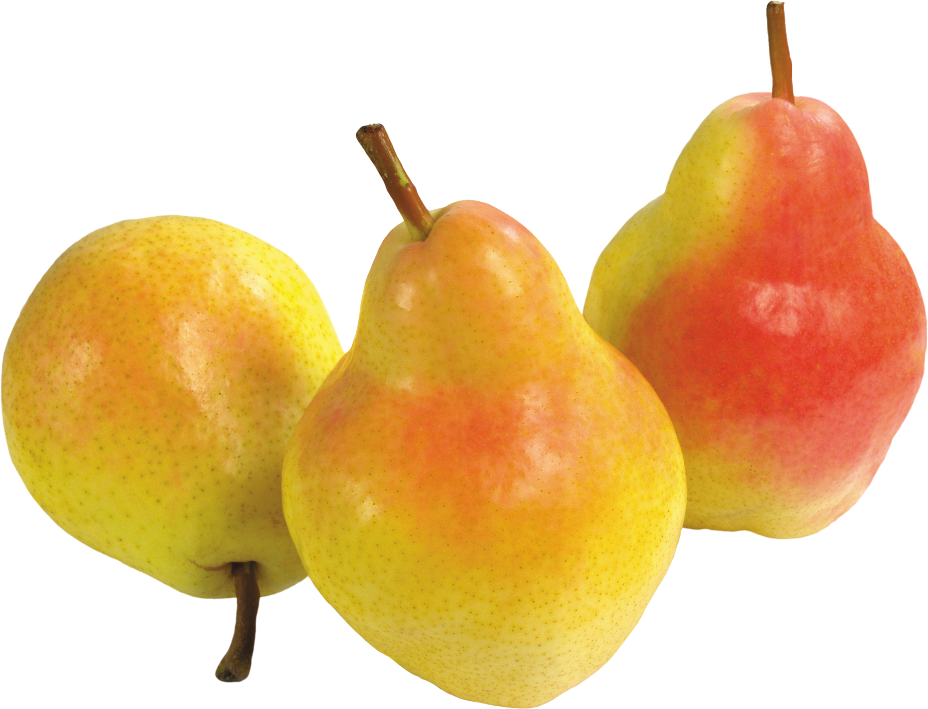 Pear Asian Transparent PNG Image