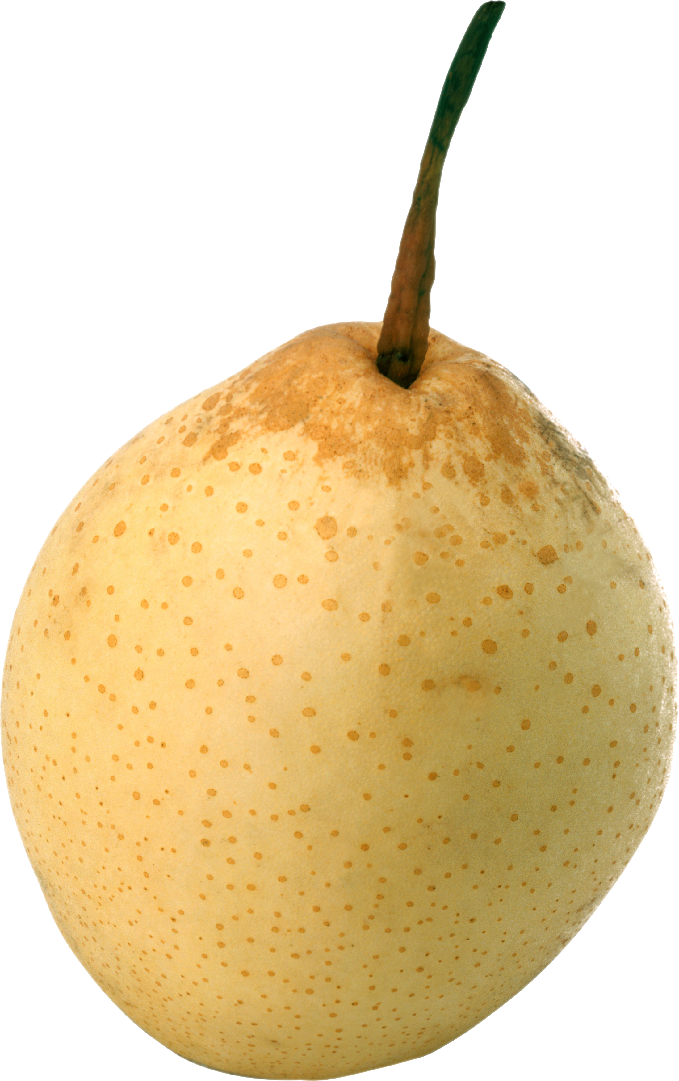 Pear Asian File Transparent PNG Image