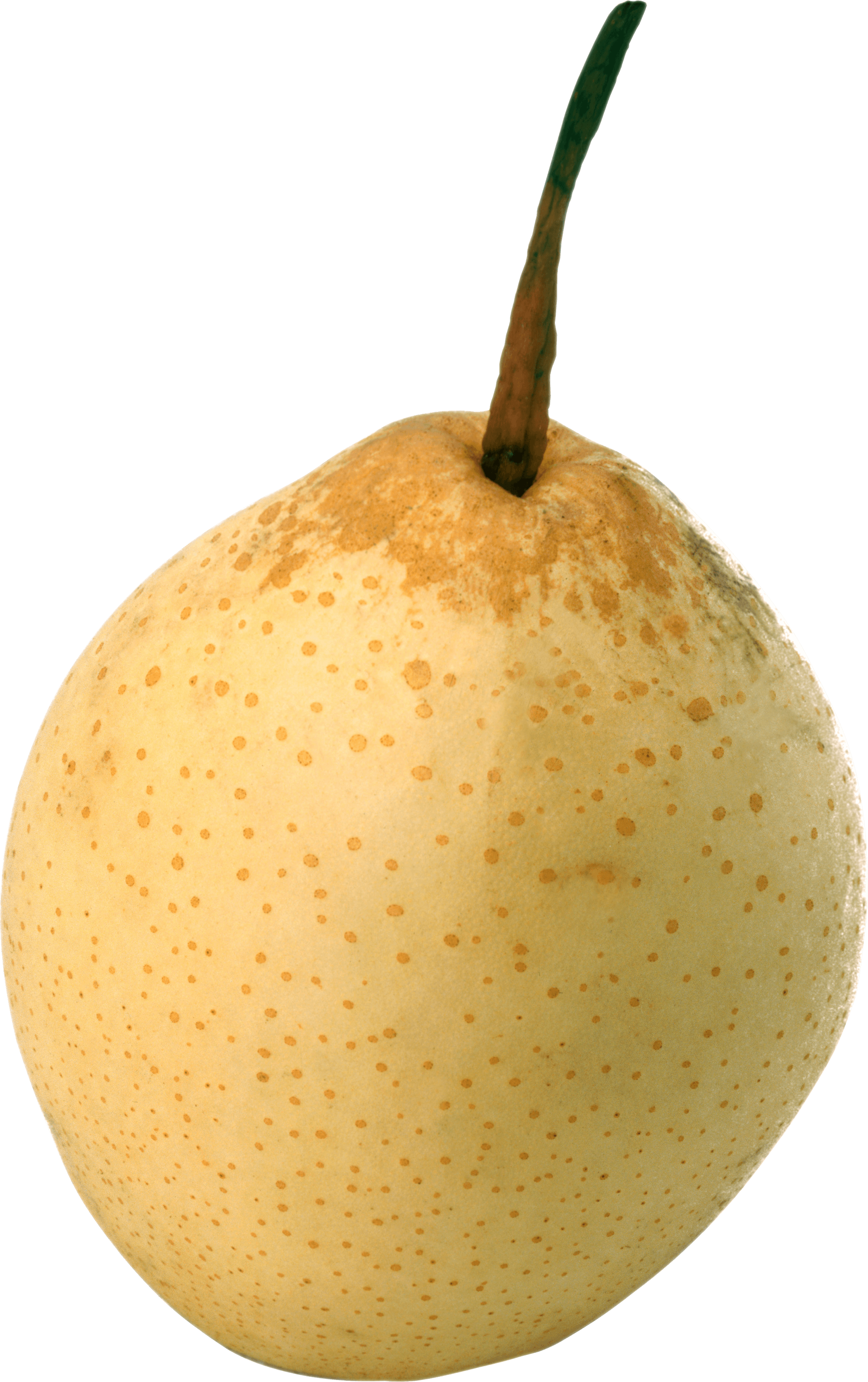 Ripe Pear Transparent PNG Image
