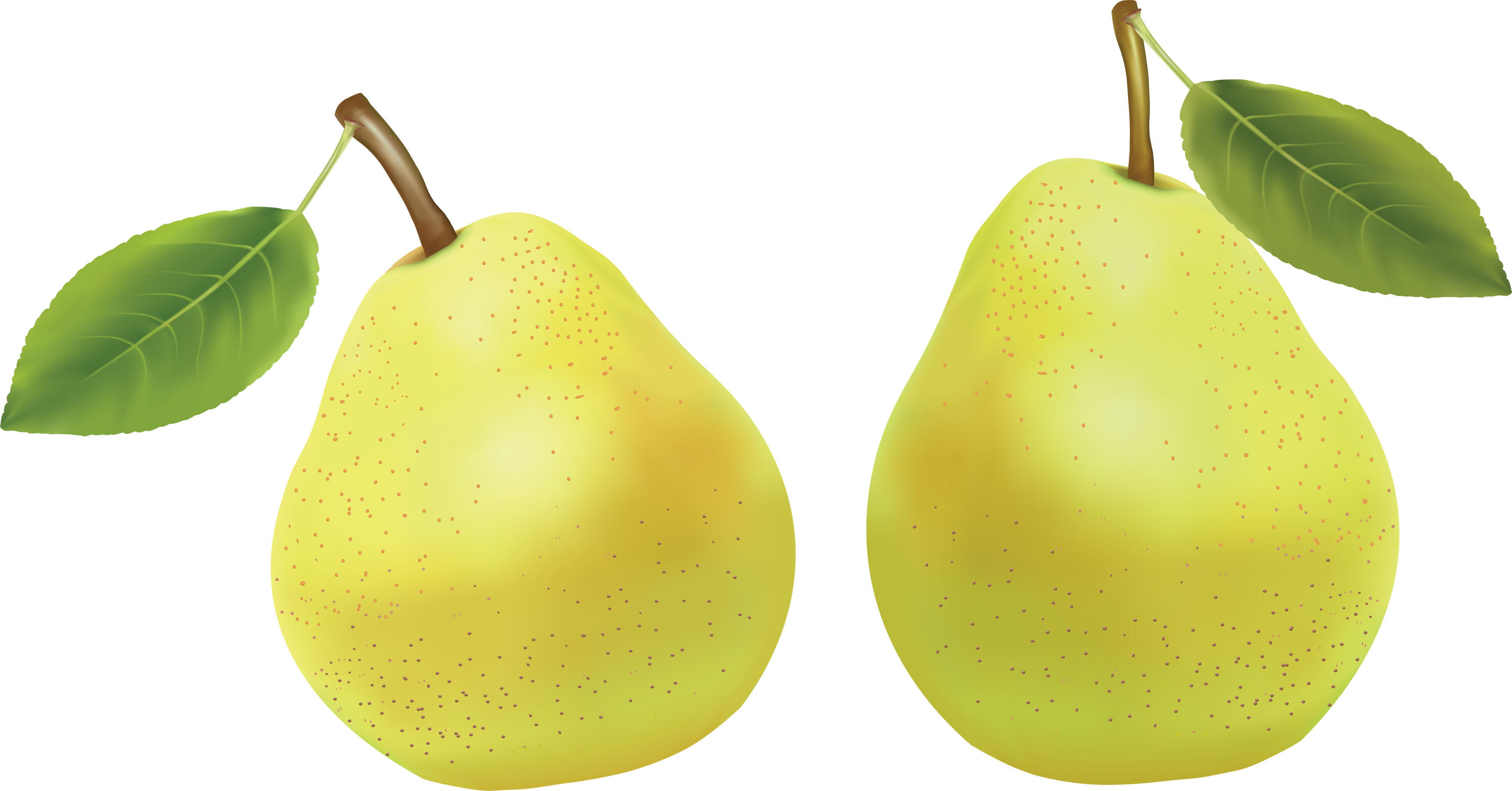 Fresh Green Pears Transparent PNG Image
