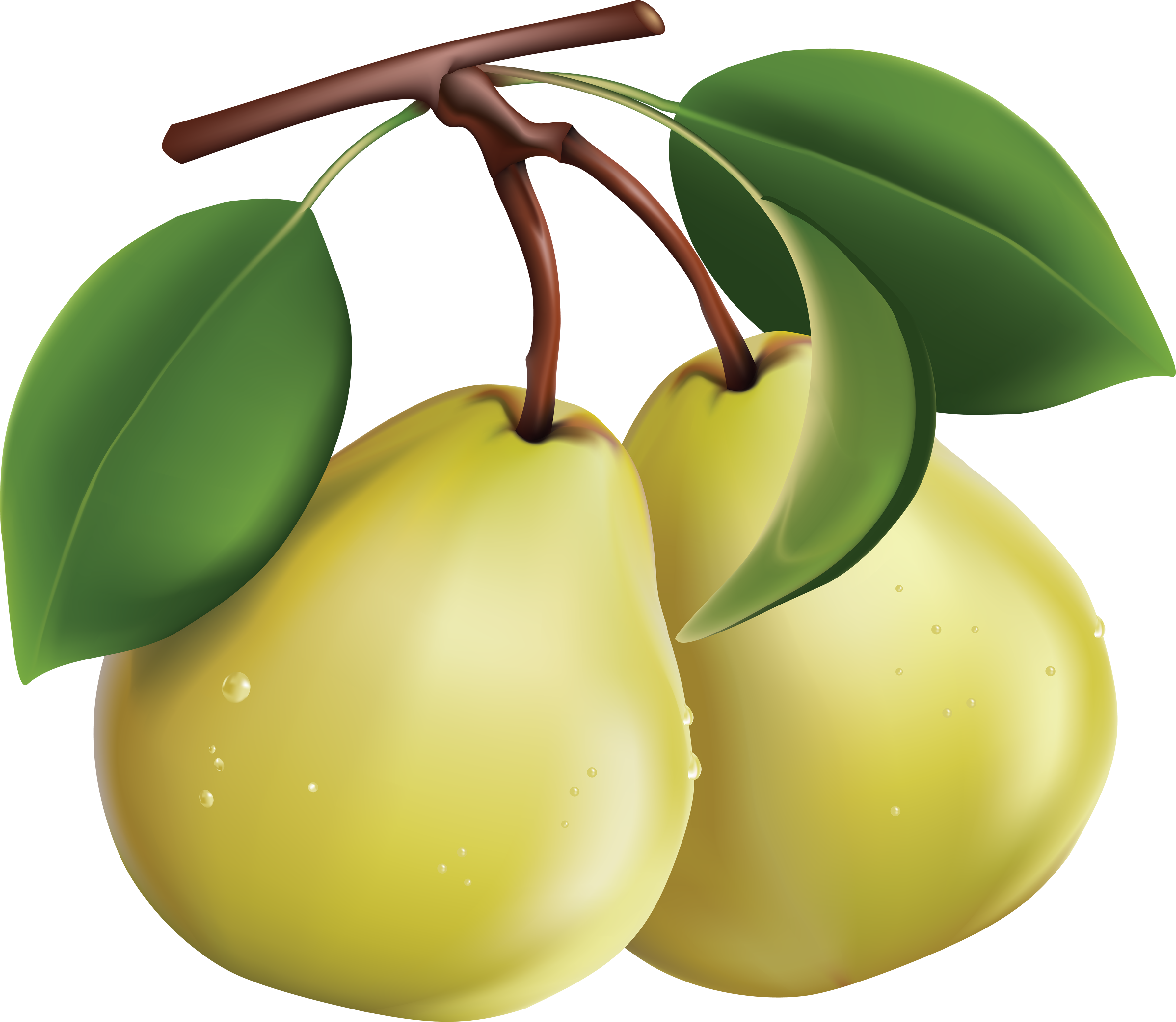 Fresh Green Pears Transparent PNG Image
