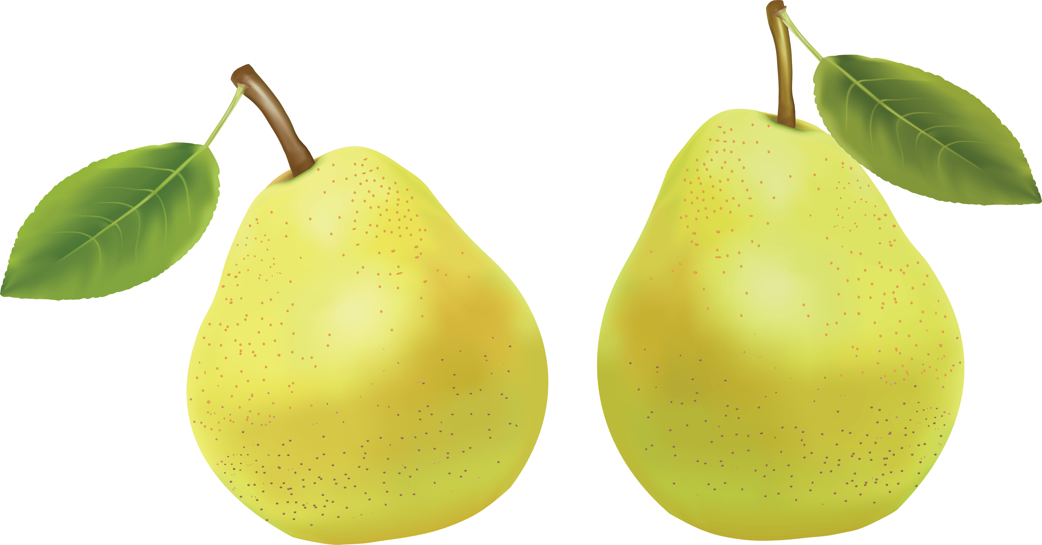 Pear Transparent PNG Image