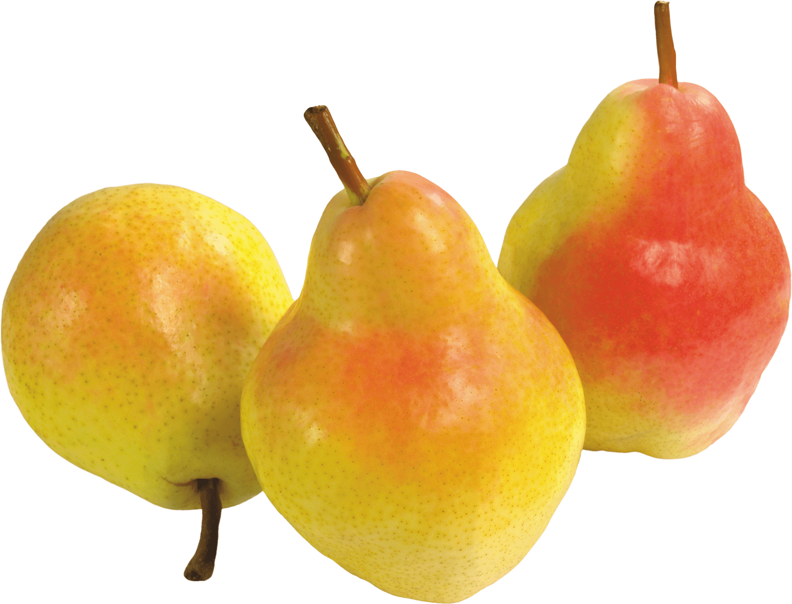 Pear Transparent PNG Image