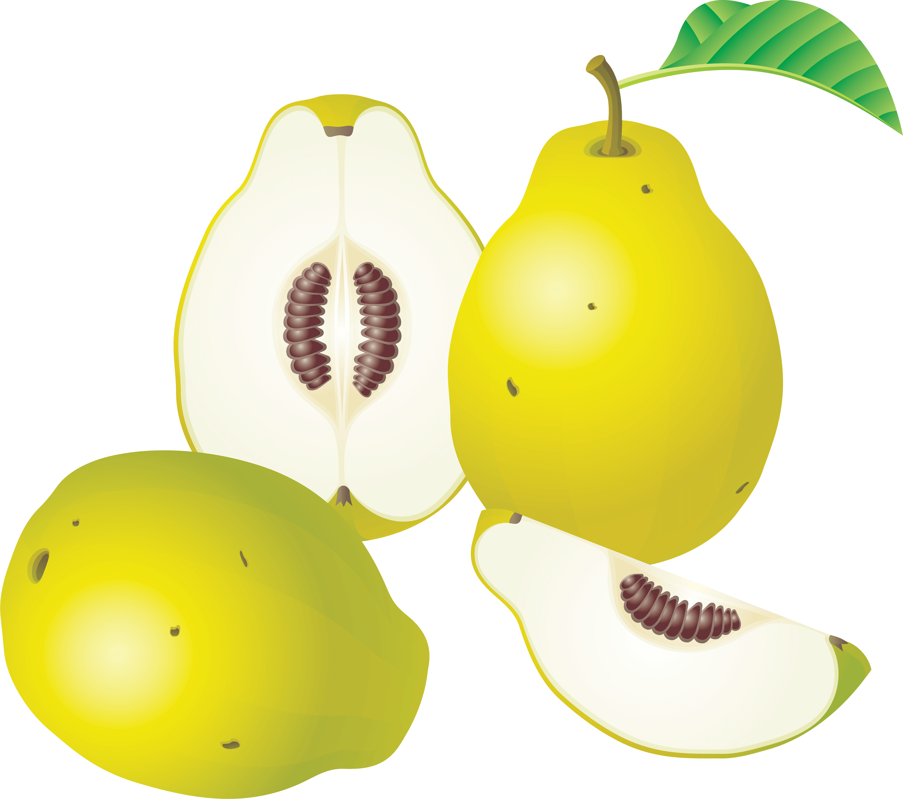 Pear Transparent PNG Image