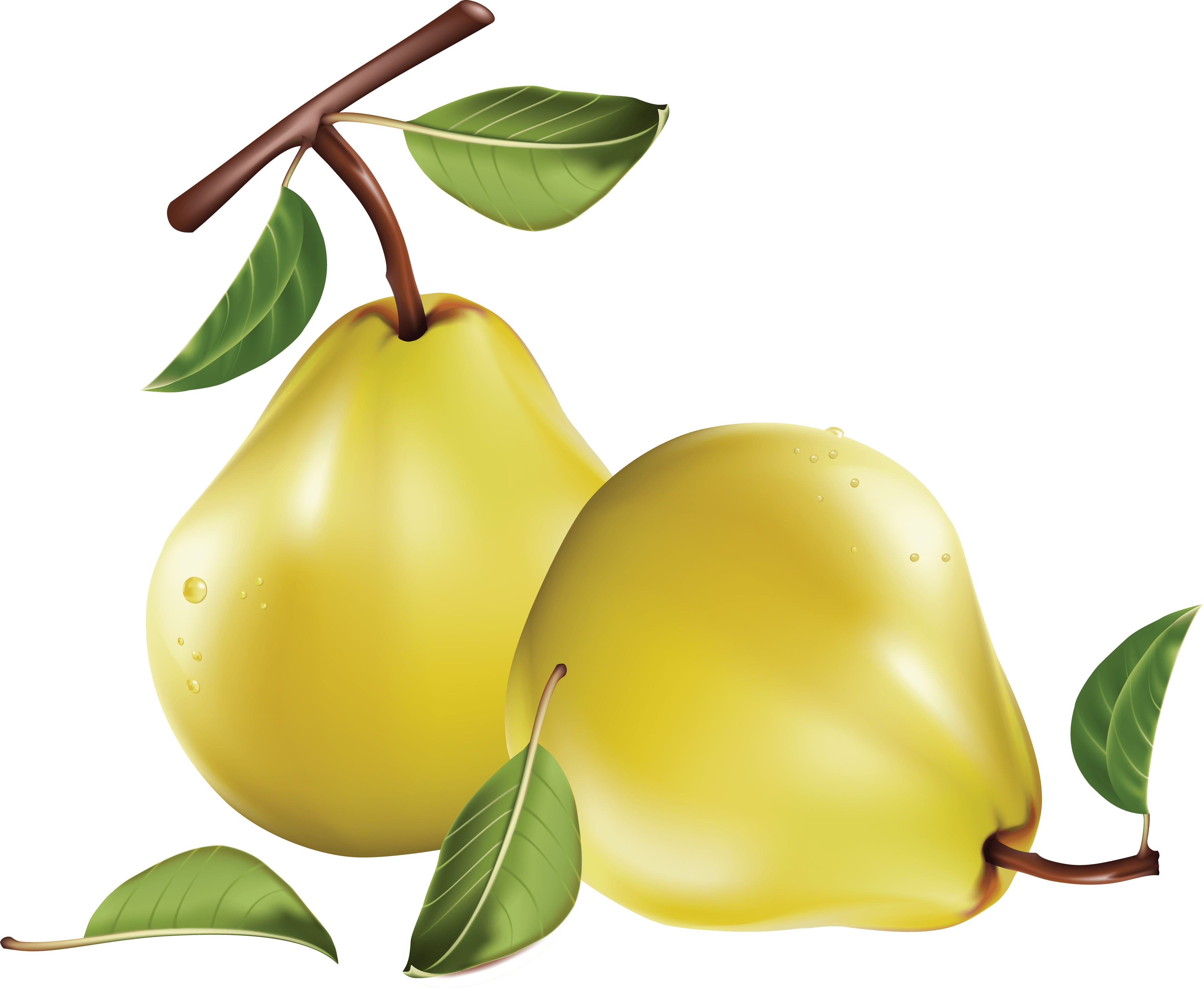 Pear Transparent PNG Image