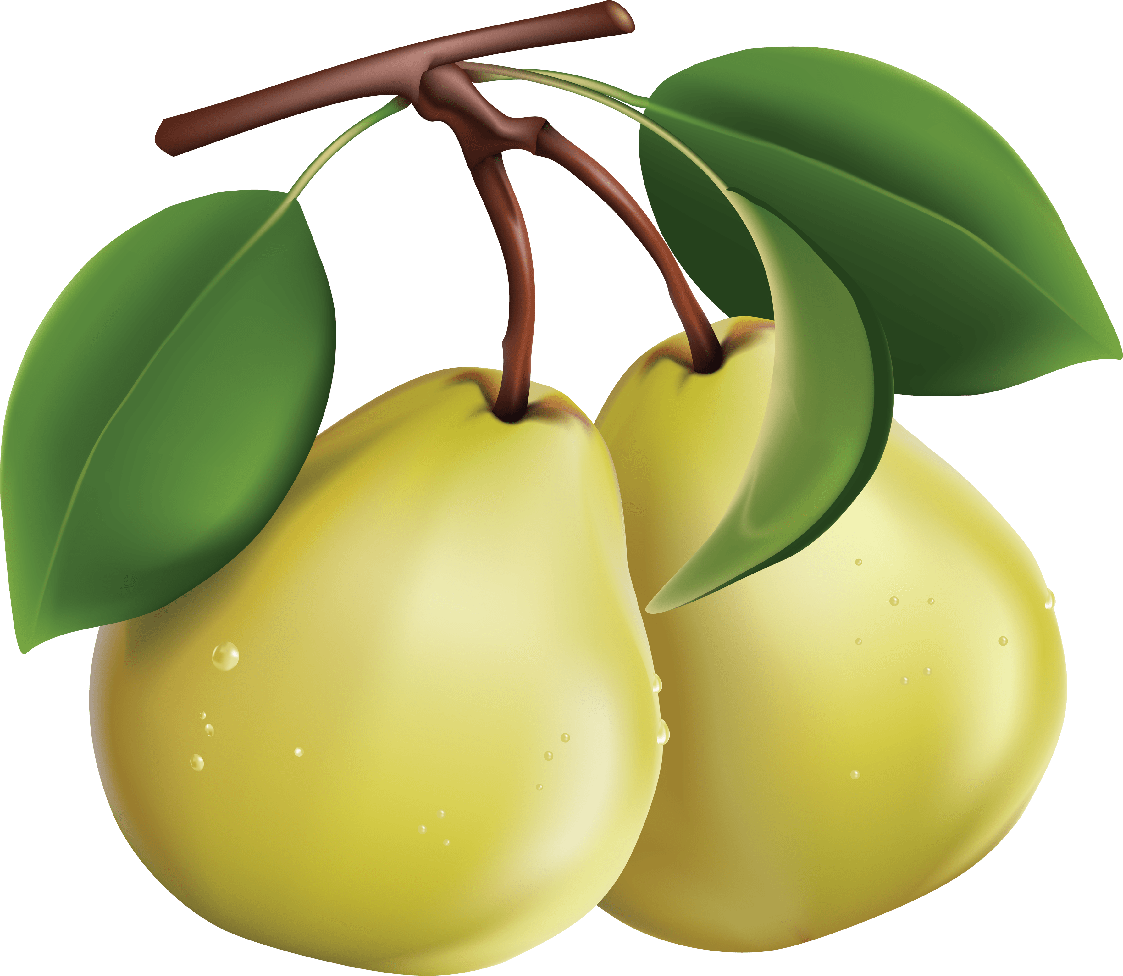 Pear Transparent PNG Image