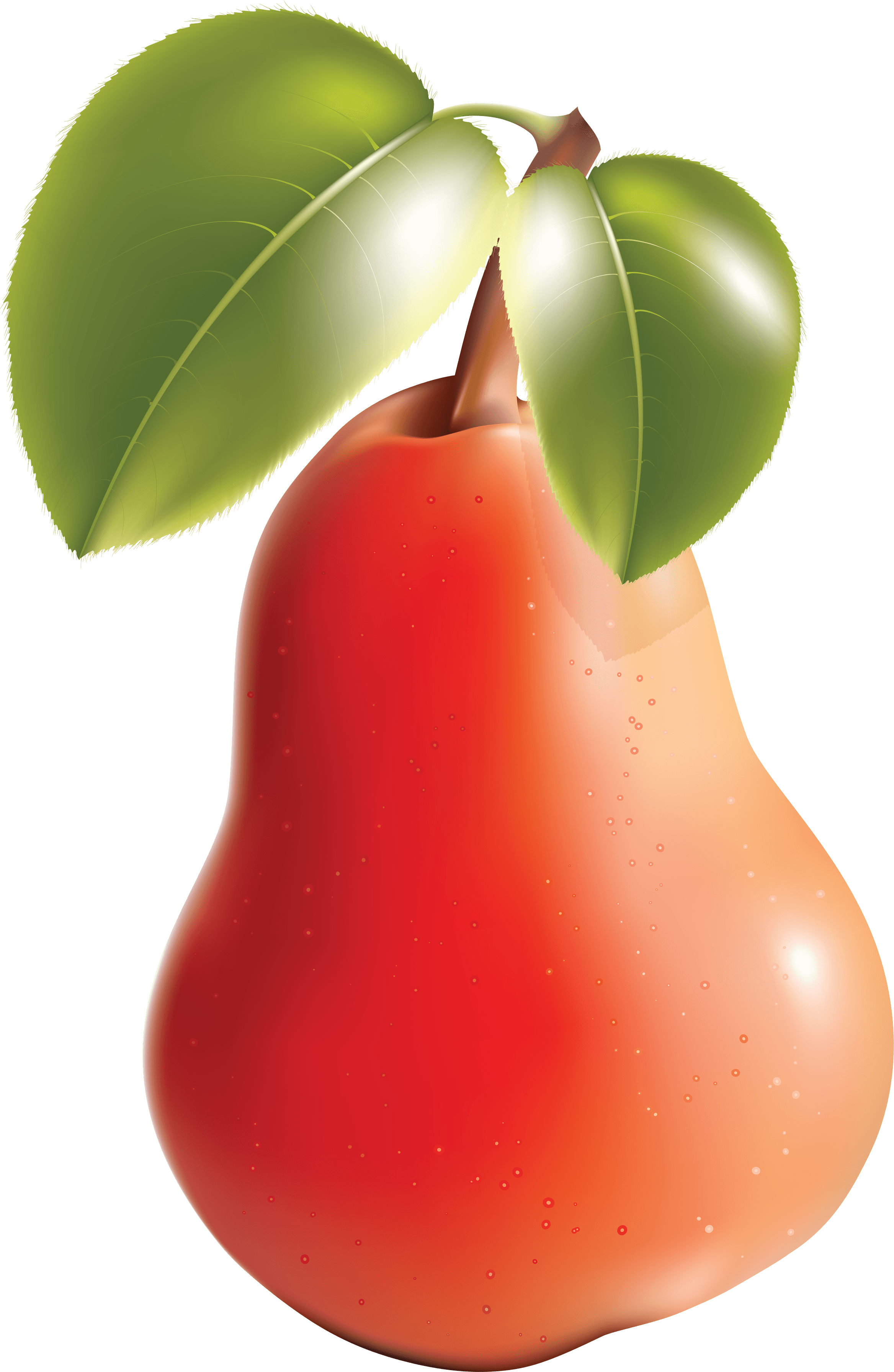 Pear Transparent PNG Image
