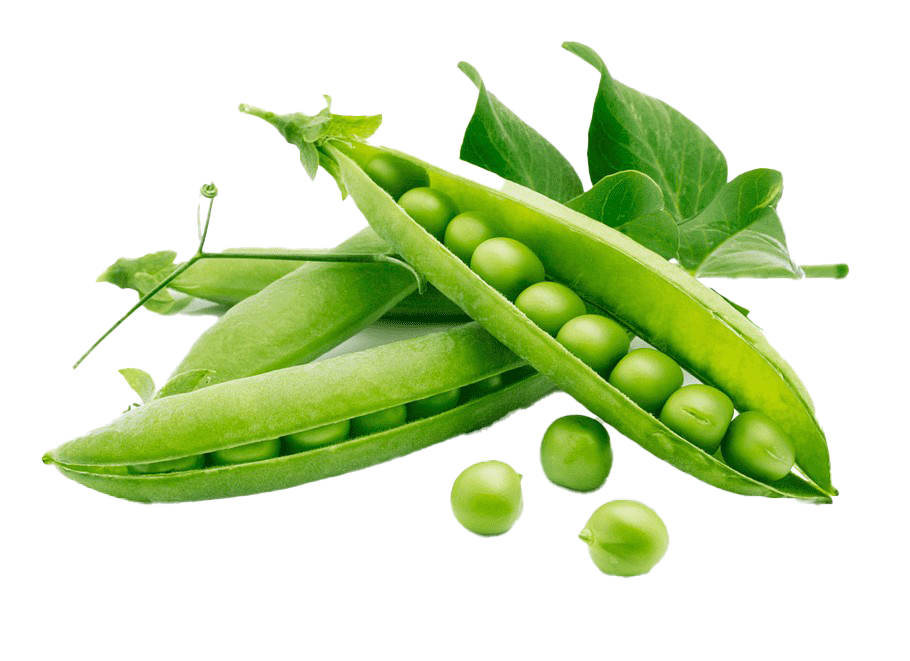 Beans Green Peas Transparent PNG Image