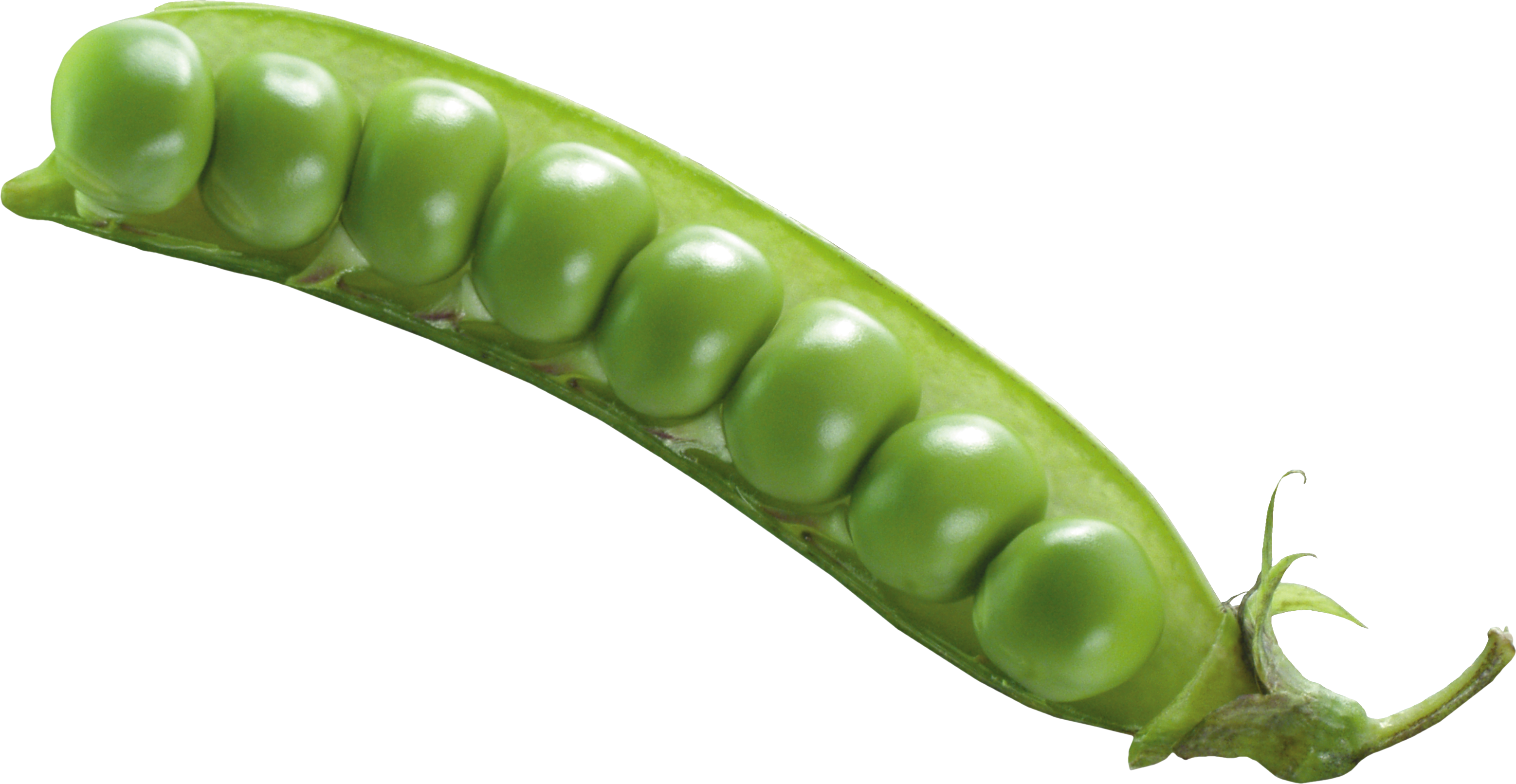 Fresh Green Pea Transparent PNG Image
