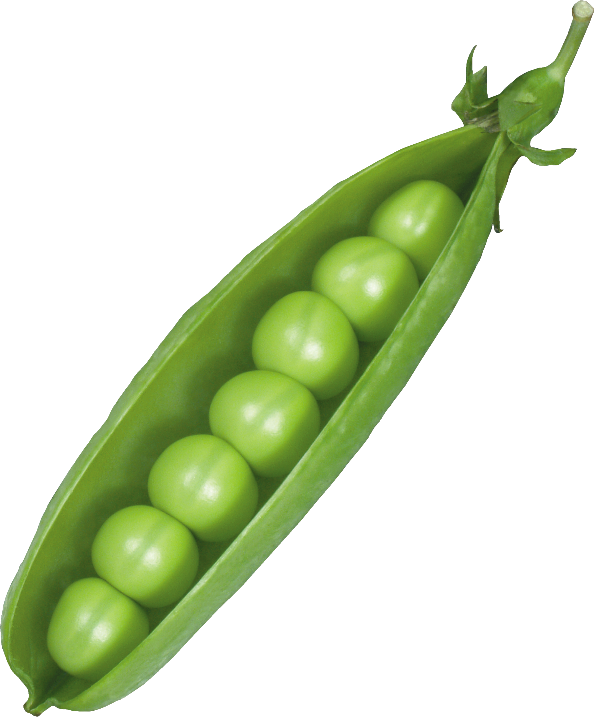 Fresh Green Pea Transparent PNG Image