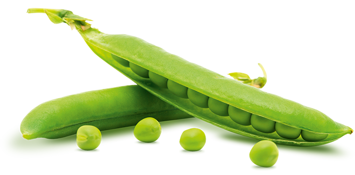 Fresh Green Pea Transparent PNG Image
