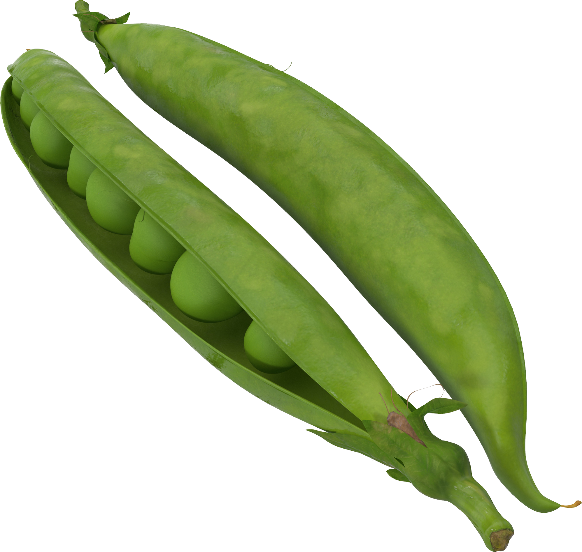 Green Pea Transparent PNG Image