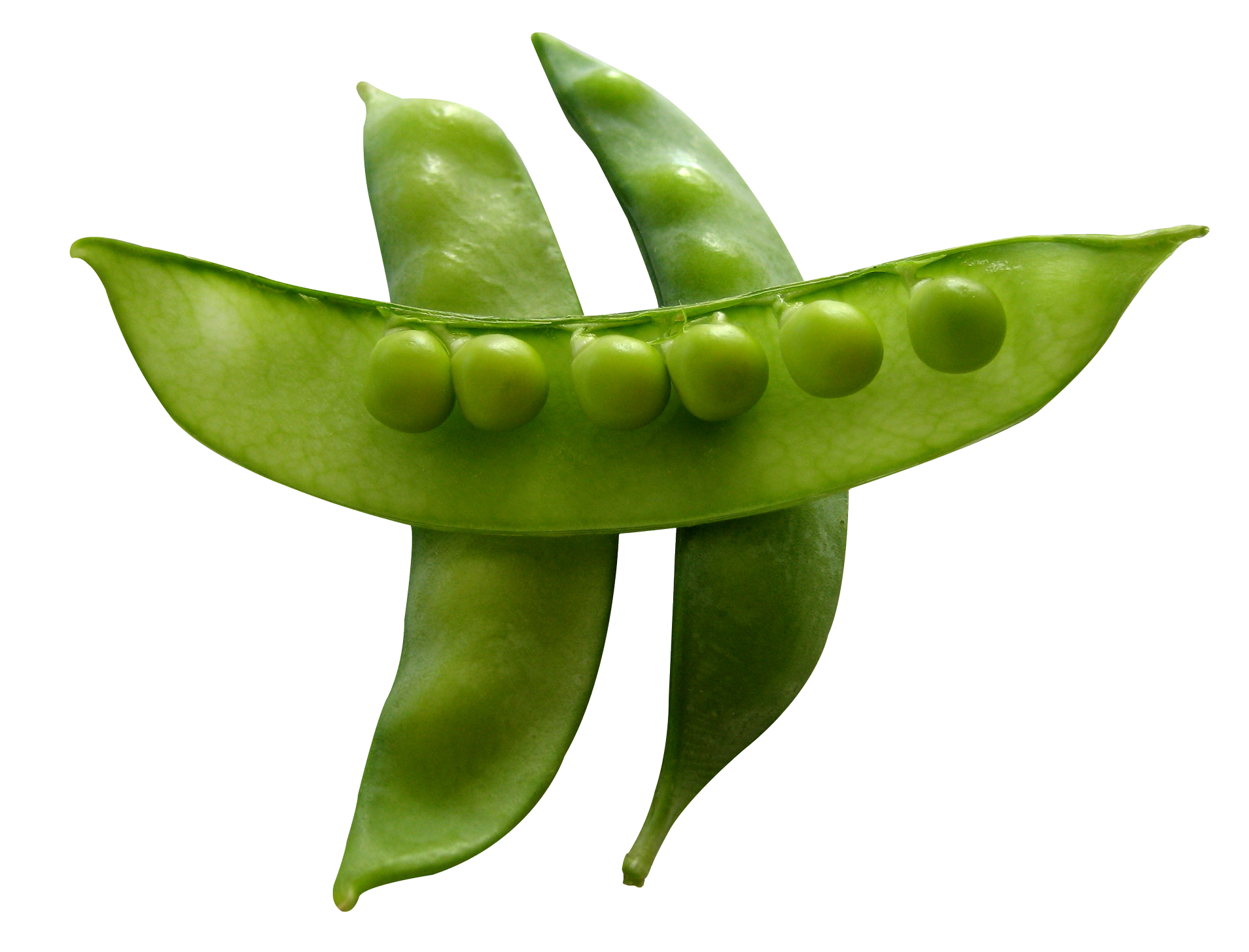 Green Pea Transparent PNG Image