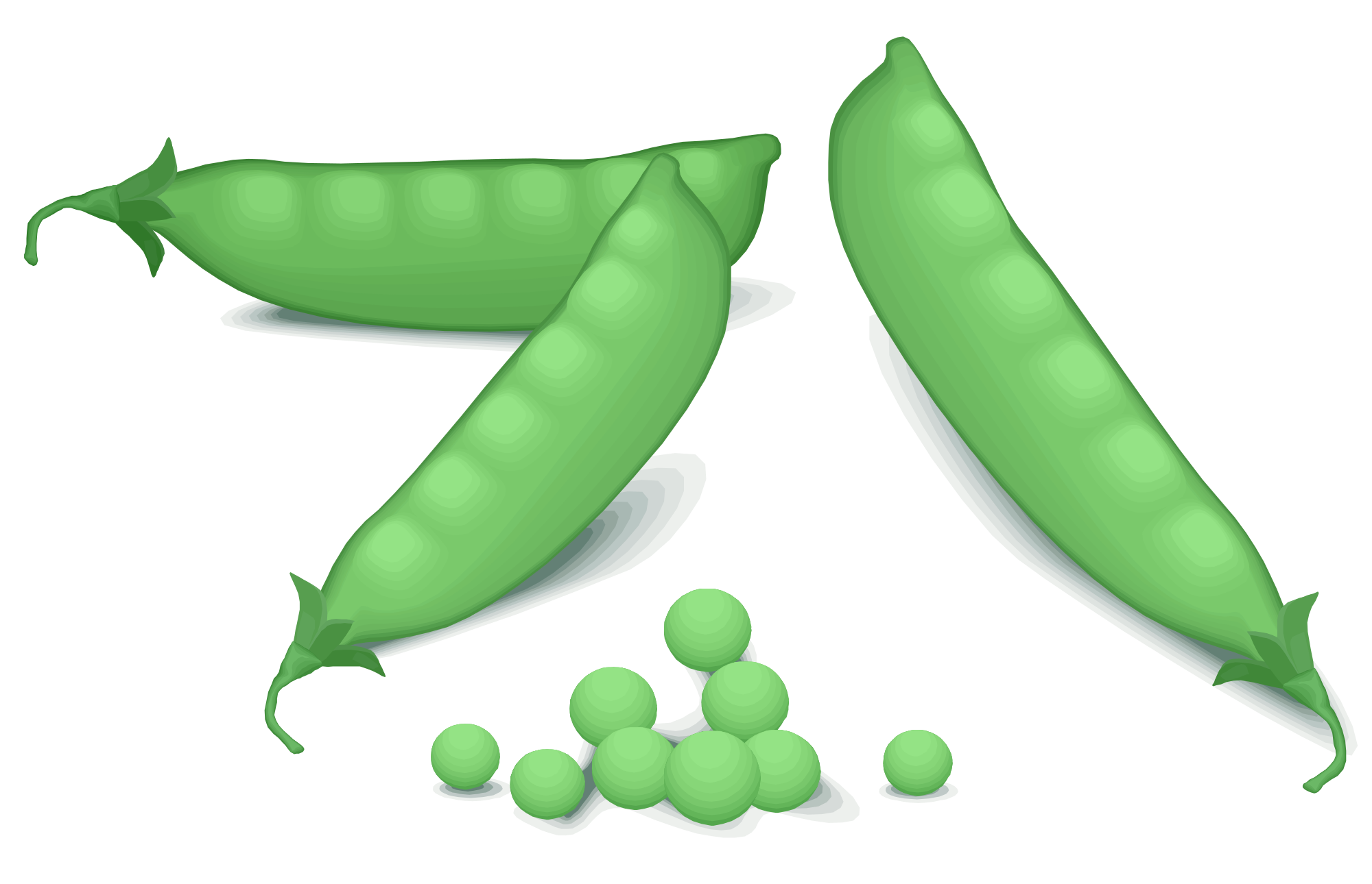 Green Pea Transparent PNG Image